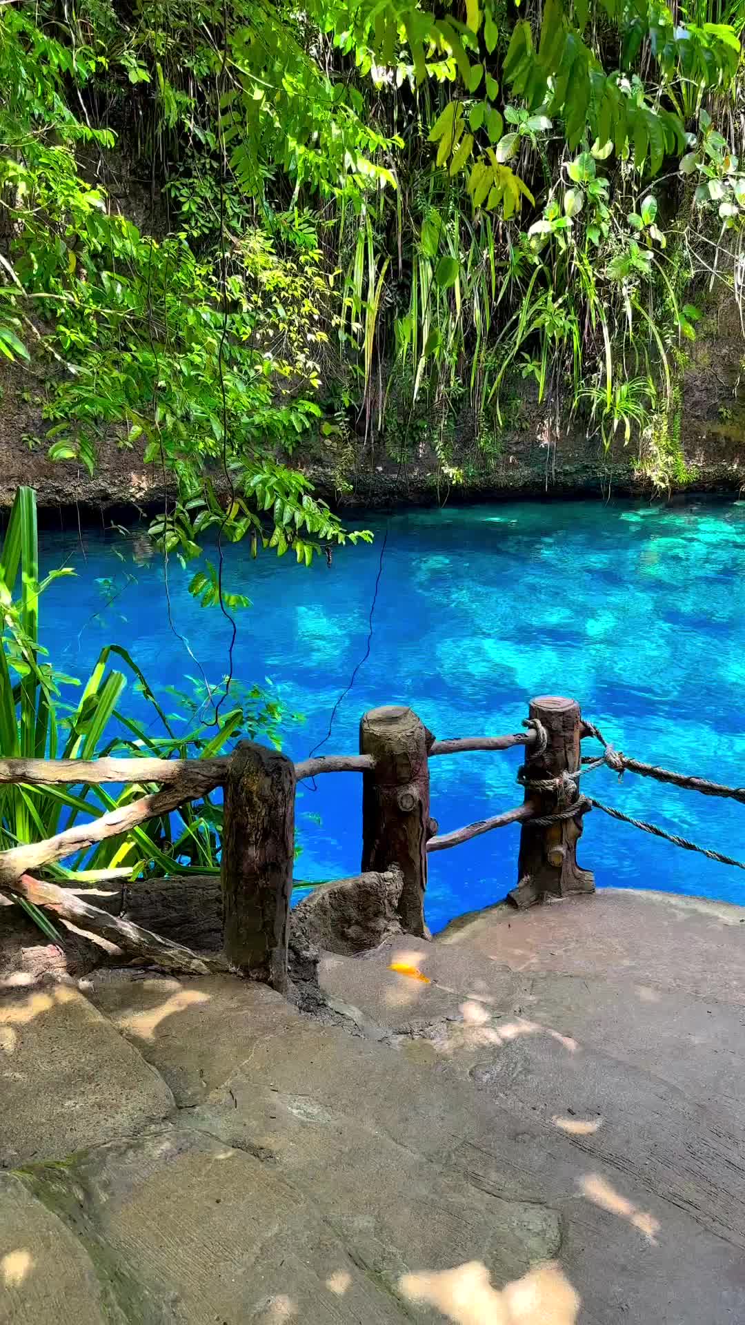 Discover the Hidden Beauty of Enchanted River, Philippines