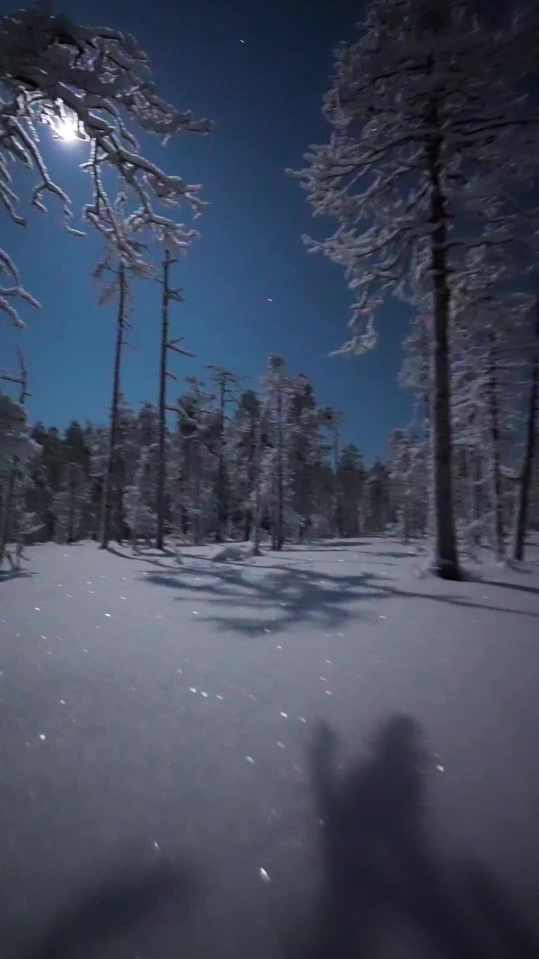 Full Moon Over Ranua's Winter Wonderland