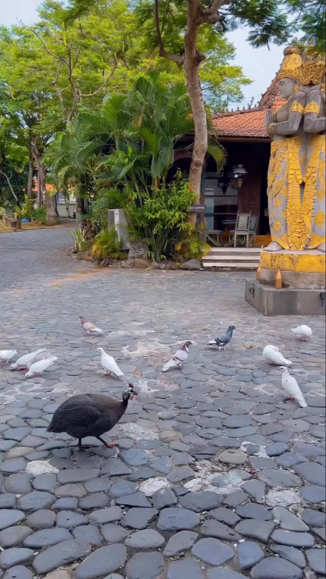 Bukan di Ubud, ini di Canggu, ternyata di tengah kepadatan Canggu ada loh tempat seasri ini 🫶🏼 @plataranindonesia @plataran.canggu 

#plataranindonesia #platarancanggu