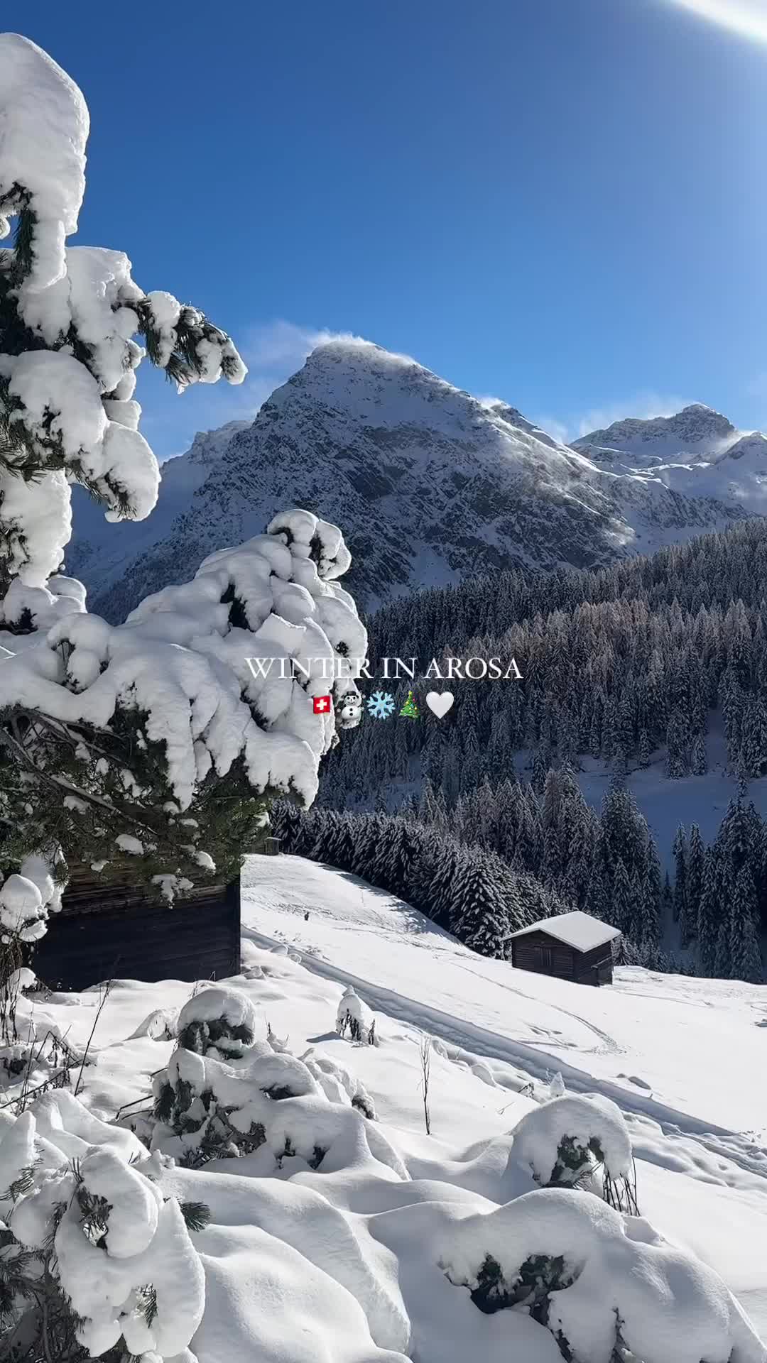 Winter Wonderland in Arosa, Switzerland | 49 Days to Christmas