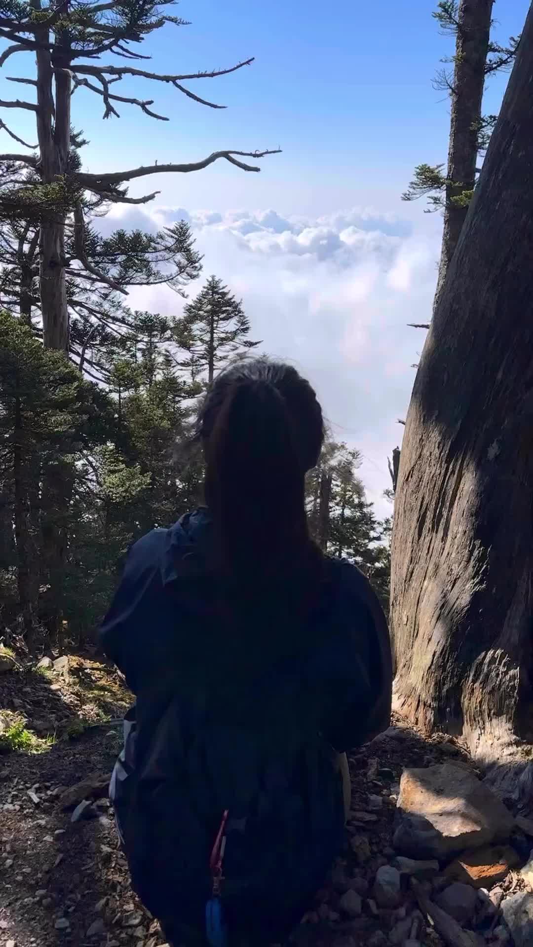 Explore Tranquil Beauty at Yushan West Peak, Taiwan