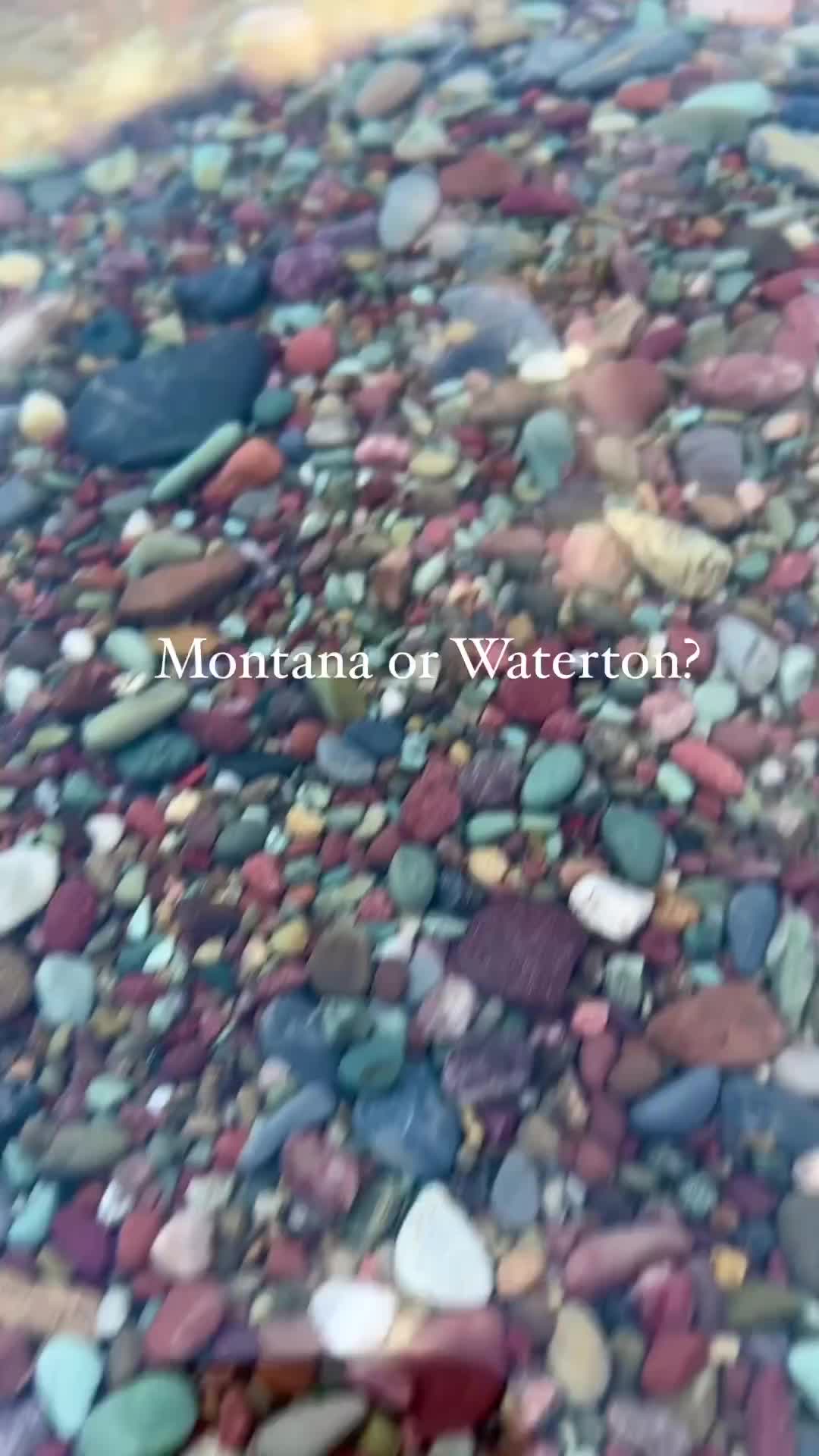 Discover Colorful Pebbles at Waterton Lakes National Park