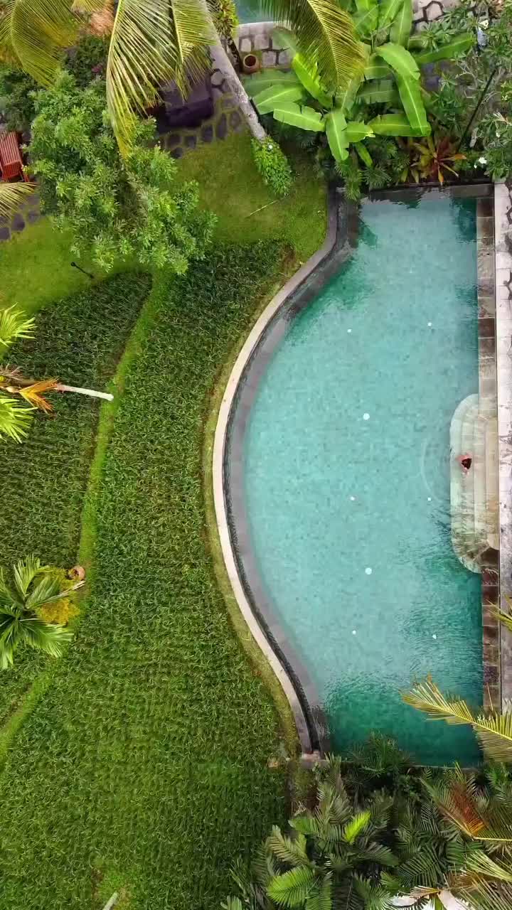 Tranquil Escape at Alaya Resort Ubud, Bali