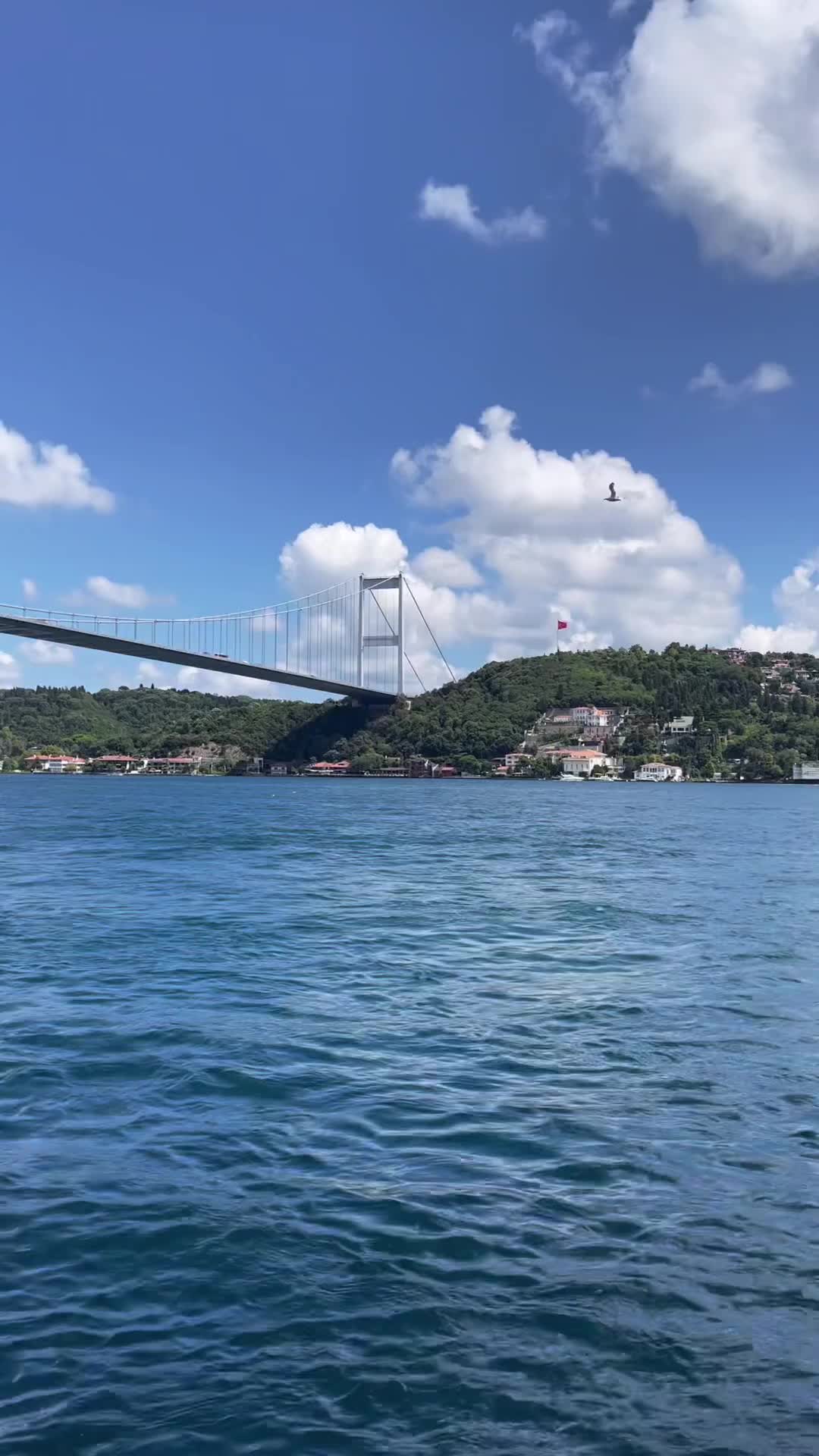 Must-See Bosphorus View in Istanbul, Turkey