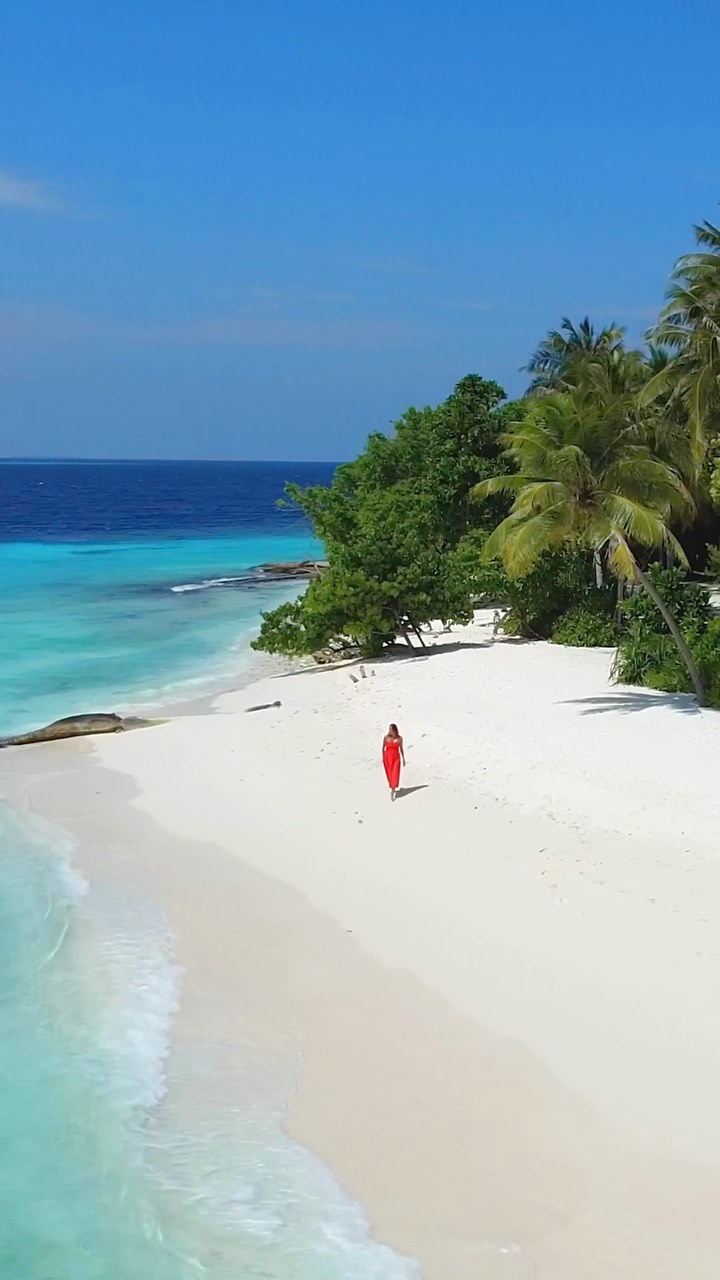 Ultimate Maldives Experience: Marine Life, Diving, Beaches & Local Charm
