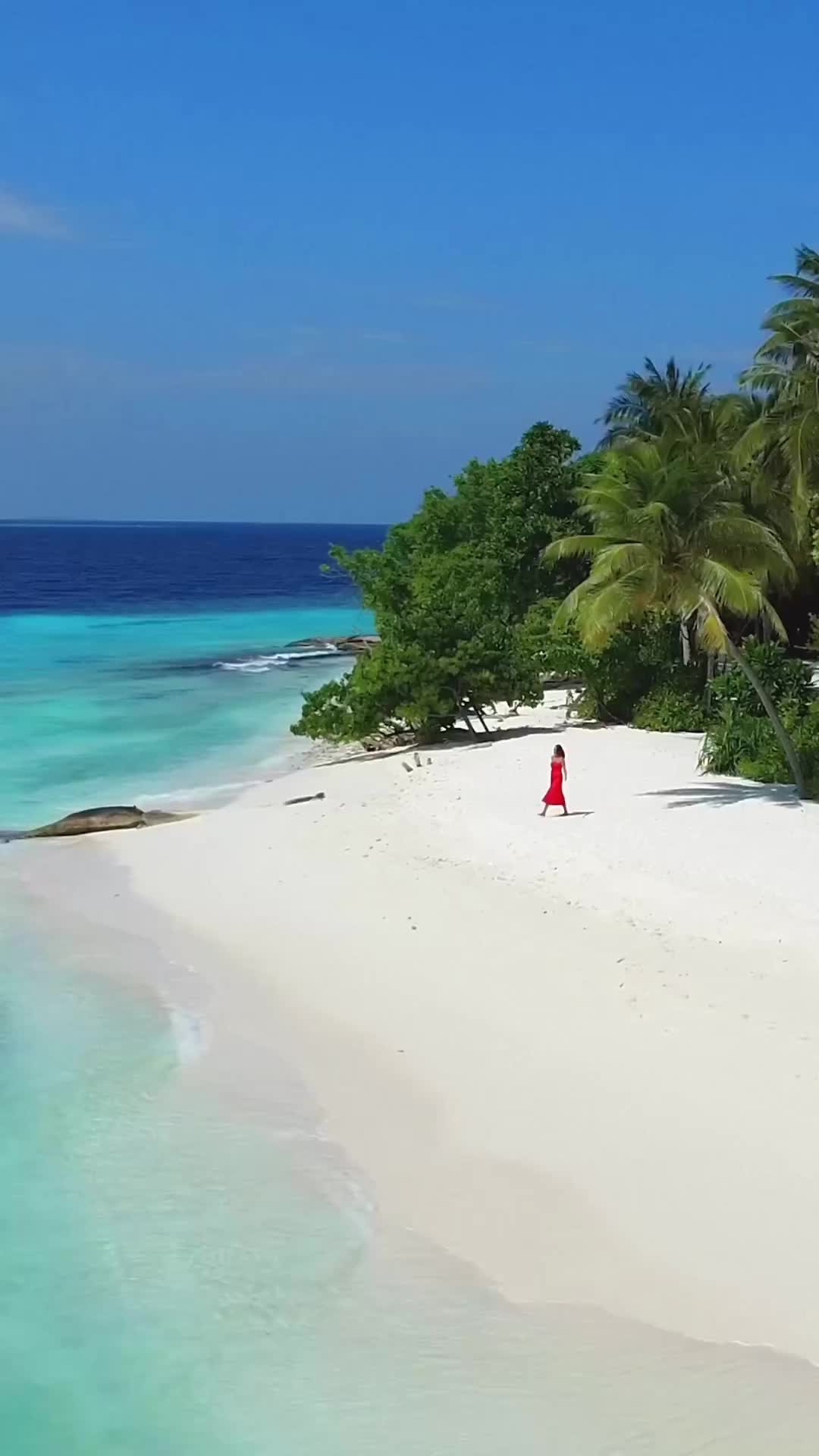Discover Amilla Fushi: Maldives' Hidden Paradise
