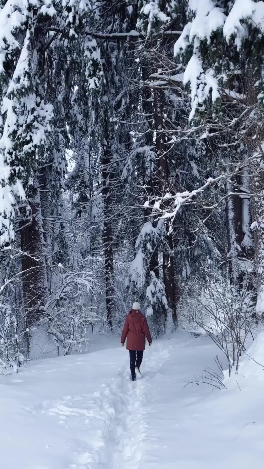 Winter Wonderland in Allgäu: A Perfect Snowy Day ❄️☃️