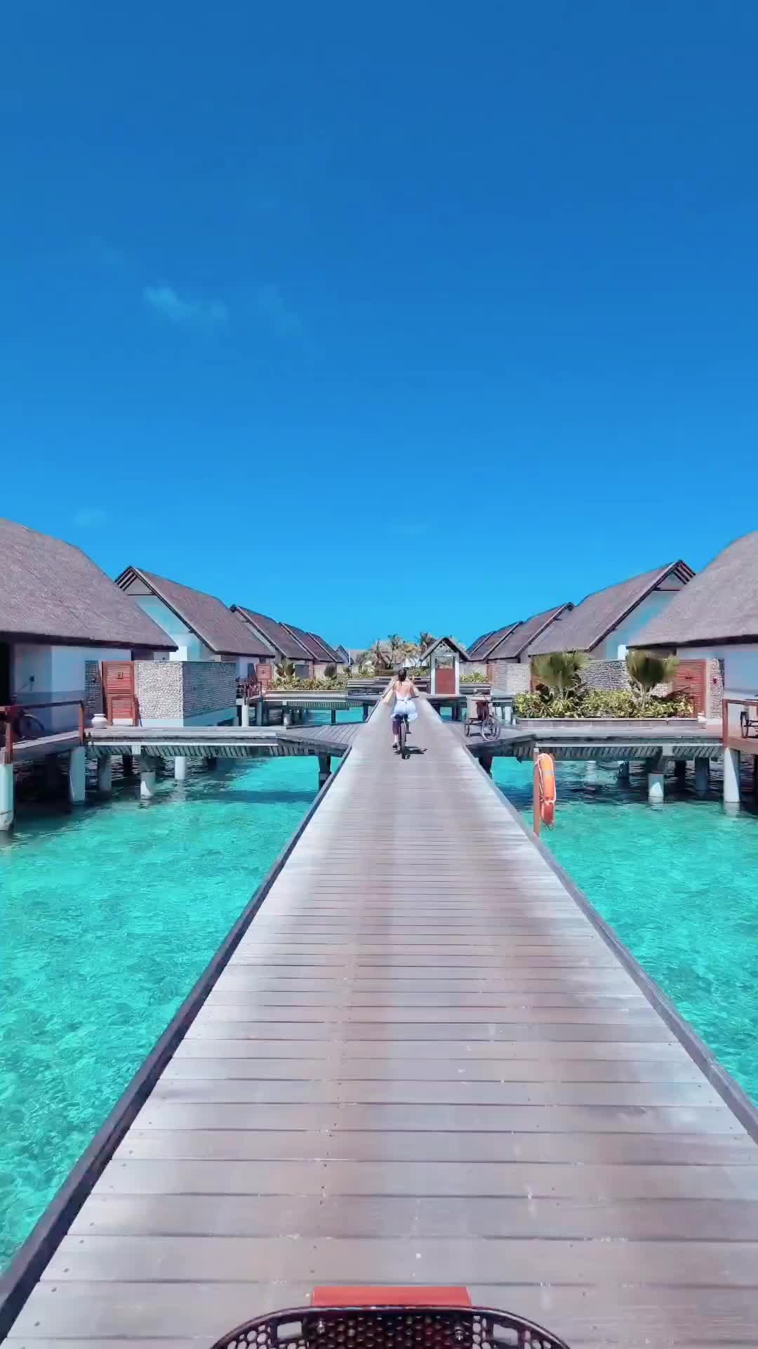 Biking in paradise 🤩🏝️

📍 Four Seasons Landaa Giraavaru, @fsmaldives

-

Follow us ❤️ @toptravelplaces_ for more 👍
Follow us ❤️ @toptravelplaces_ for more 👍
Follow us ❤️ @toptravelplaces_ for more 👍

-

📸 Video taken by @toptravelplaces_

-

#maldives #maldivesresorts #maldivas #malediven #fsmaldives #maldivesislands #maldivesinsider #visitmaldives #bluelagoon #maldiveslovers #Мальдивы #путешествия #maldivesparadise #maldivesphotography #amazingdestinations #instatravel #paradise #beautifulmaldives #videooftheday #bali #borabora #viralvideos