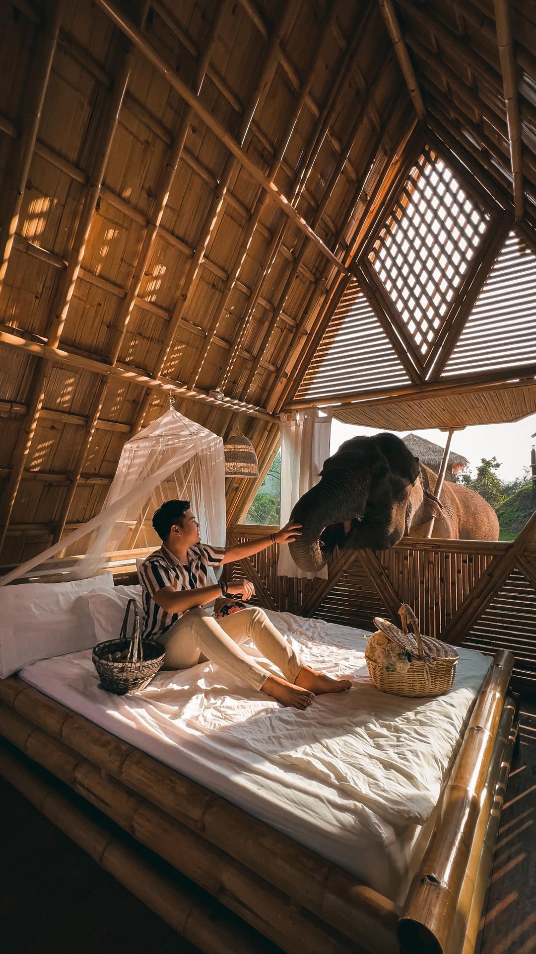 Incredible morning with this cutie 🐘🥰✨
📍 @chailaiorchid , Chiang Mai 
.
.
.
.
.
.
.
.
.
.
#chailaiorchid #elephants #elephant #elephantlove #lostinthailand #slowlifestyle #chillvibes  #slowlivingforlife #homestay #thaistlye #chiangmai #chiangmaithailand #chiangmailife #chiangmaitrip #explorechiangmai 
#reviewchiangmai #adayinthailand #adayinchiangmai #thailandismagic #igthailand #travelthailand #thailand🇹🇭 #beautifulthailand #thailandtravel #amazingthailand #thaistagram #thailandonly #explorethailand #เชียงใหม่ #รีวิวเชียงใหม่