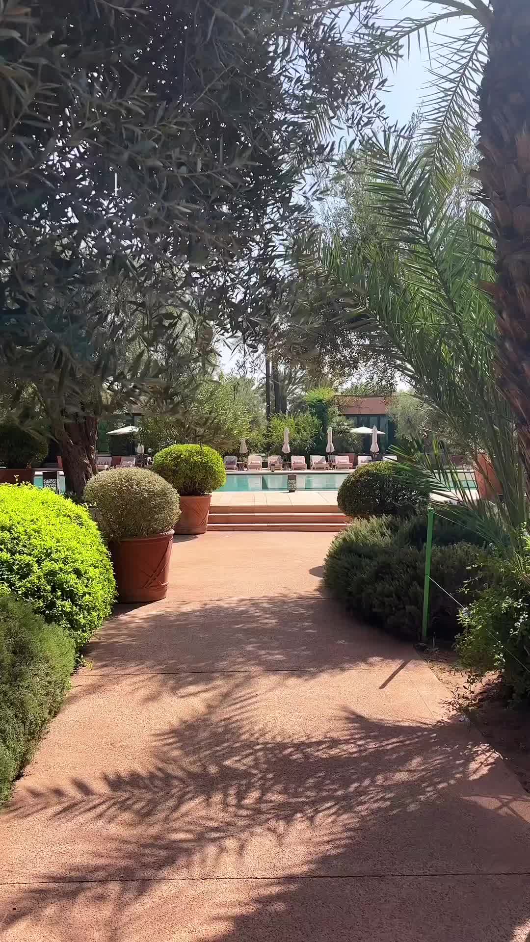 A fusion of Asian and Mediterranean cuisine in the most picturesque settings at Le Jardin! I’ve saved you a seat, who’s joining me?

@royalmansour 

#ItsMeLouis

#morocco #marrakech #royalmansourmarrakech #royalmansour #travelreels #restaurantreels #reelsinstagram #foodphotographer