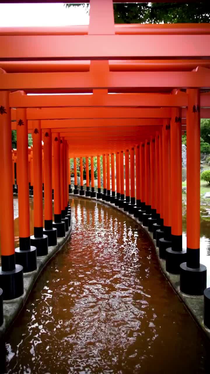 Takayama Inari Shrine - 高山稲荷神社 ⛩🇯🇵

#visitjapanjp #visitjapan #japan #aomori #aomoritravel #adventure #aomoriprefecture #japantravel