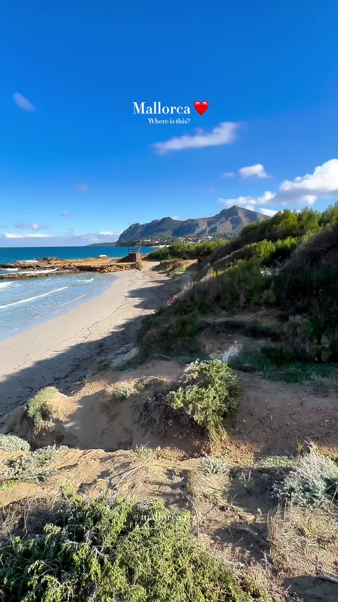 Esto es . . .👇🏼
.
.
.
📍Playa de Sant Joan, Mallorca ❤️

🇪🇸 Explora Playa de Sant Joan, un rincón secreto cerca de Alcudia en la hermosa isla de Mallorca. Disfruta de sus aguas cristalinas y arena fina, ideal para días de descanso y diversión bajo el sol. Mallorca, un destino vacacional de ensueño, te invita a descubrir su cultura vibrante, gastronomía deliciosa y senderos para caminatas espectaculares. Playa de Sant Joan es perfecta para los amantes de la naturaleza y el senderismo. ¿Sabías que esta playa es un oasis de paz, perfecta para escapar del ajetreo diario?

🇬🇧 Explore Playa de Sant Joan, a secret spot near Alcudia on the beautiful island of Mallorca. Enjoy its crystal-clear waters and fine sand, perfect for relaxing and fun days under the sun. Mallorca, a dream holiday destination, invites you to discover its vibrant culture, delicious cuisine, and spectacular hiking trails. Playa de Sant Joan is perfect for nature lovers and hiking enthusiasts. Did you know this beach is an oasis of peace, perfect for escaping the daily grind?

🇩🇪 Entdecke Playa de Sant Joan, ein Geheimtipp in der Nähe von Alcudia auf der wunderschönen Insel Mallorca. Genieße das kristallklare Wasser und den feinen Sand, ideal für entspannte und vergnügliche Tage unter der Sonne. Mallorca, ein Traumurlaubsziel, lädt dich ein, seine lebendige Kultur, köstliche Küche und spektakuläre Wanderwege zu entdecken. Playa de Sant Joan ist perfekt für Naturliebhaber und Wanderfreunde. Wusstest du, dass dieser Strand eine Oase des Friedens ist, perfekt, um dem Alltagsstress zu entfliehen?

❣️Are you coming to Mallorca in 2024 ❣️

📲 Share this video with your friends 🌊

✅ FOLLOW @MALLORCA.REELS for more ❤️

#Mallorca #majorca #playa #beach

⭐️ remember to book your rental car with @rentacar.vanrell 🚙 and get additional 5% off with our promo code ‼️
26MU7
🔝