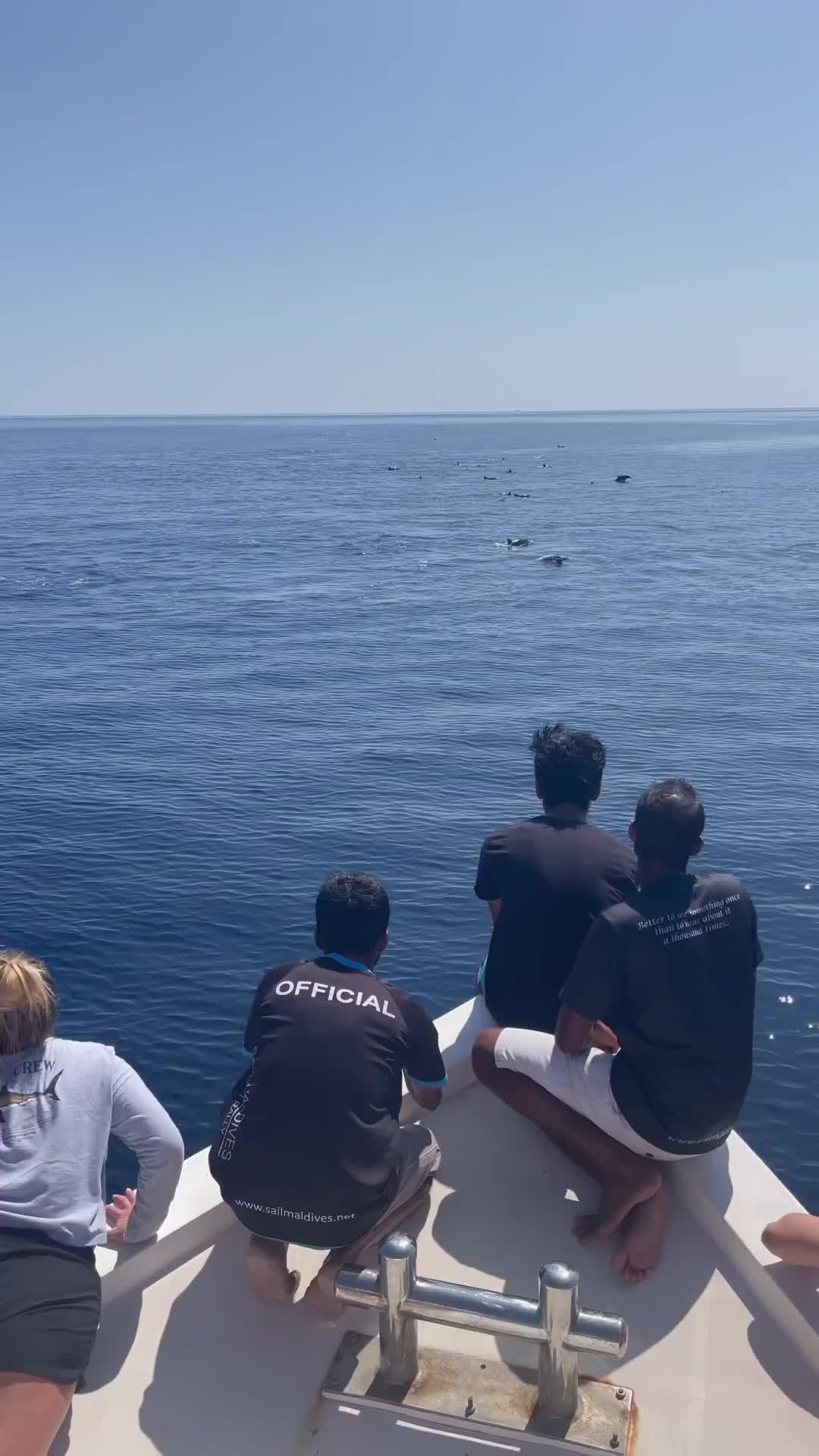 Swimming with Dolphins in Malé Maldives