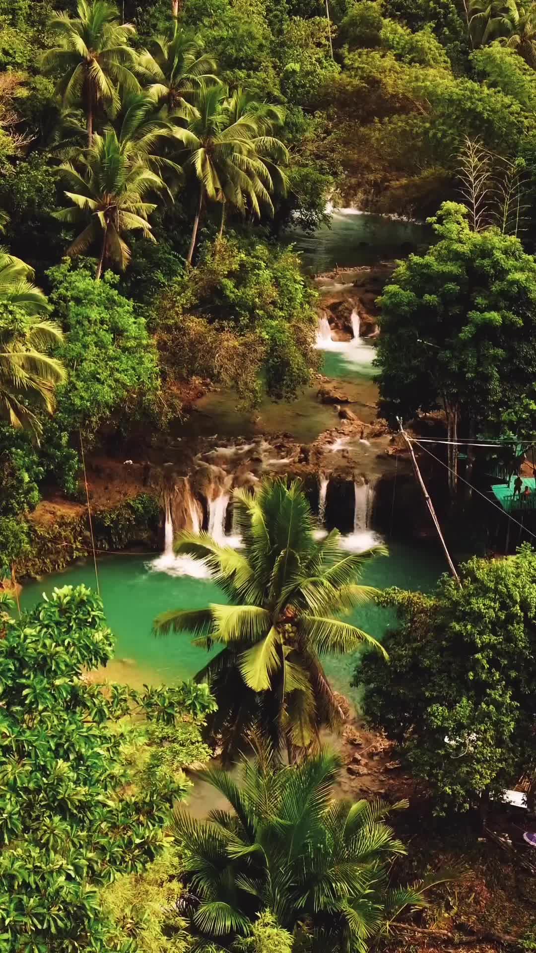 Jungle Vibes at Cambugahay Falls, Siquijor 🌴