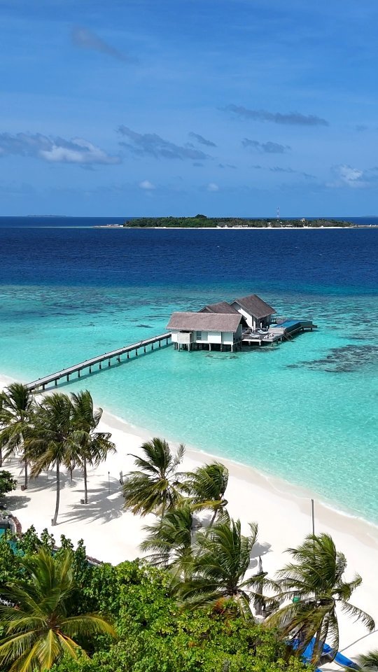 This island in the Maldives is PERFECTION 🤩🏝️

📍 @fsmaldives

-

Follow us ❤️ @toptravelplaces_ for more 👍

-

📸 Video taken by @toptravelplaces_

-

#maldives #travel #traveldestination #fsmaldives #fourseasons #fsmoments #maldivesislands #luxurytravel #honeymoondestination #beachholiday #beachvibes #luxuryresorts #forbestravelguide #maldivesresorts #maldiveslovers #maldives🇲🇻 #djiair3 #dronevideo