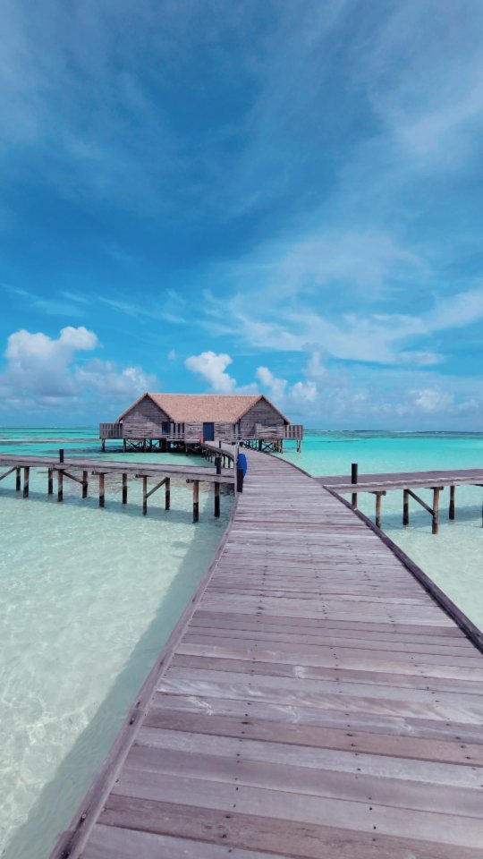 No words can describe this mesmerizing place 🤩🏖️

📍 Como Cocoa Island, Maldives

-

Follow us ❤️ @toptravelplaces_ for more 👍

-

📸 Video taken by @toptravelplaces_

-

#maldives #maldivas #malediven #beachvibes #maldivesresorts #maldivesislands #comococoaisland #comohotels #maldivesinsider #Мальдивы #путешествия #visitmaldives #maldiveslovers #maldivesbeach #maldivesparadise #maldivesphotography #beautifuldestinations #instatravel #paradise #beautifulmaldives #beach #videooftheday #greece #bali #thailand #borabora #viralvideos