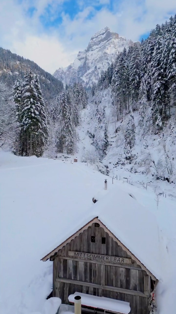 Summer vs. Winter @simmenfaelle #reels #reelsinstagram #reelsvideo #simmenfälle #lenksimmental #simmental #switzerland #michelphotography @michelphotographych