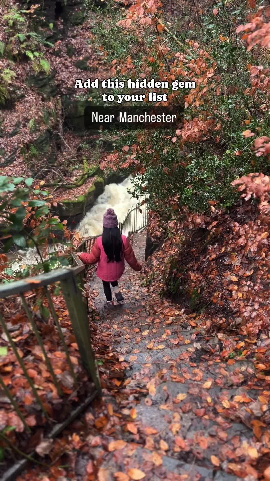 Discover Healey Dell Nature Reserve Near Manchester