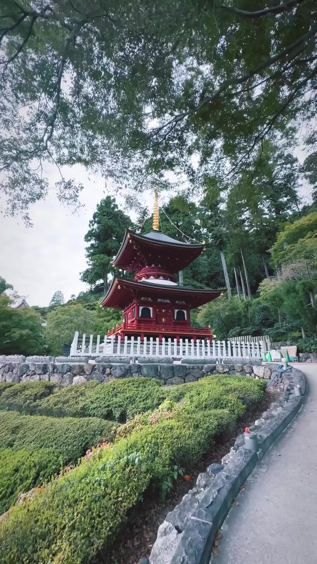 Mysterious atmosphere of the temple⛩
"ミステリアスな雰囲気のするお寺"

🎥 "Hisa" @ag.lr.88 
Camera : iPhone14Pro
Location : Osaka,Japan

#shotoniphone #shotoniphone14pro @apple 
#japanlife #japantravel #japantrip #japan
#cinemagraphy #videography #streetclassics
#Beutifuldestinations #voyaged #earthofficial
#discoverearth #stayandwander #earthfocus
#お寺 #大阪