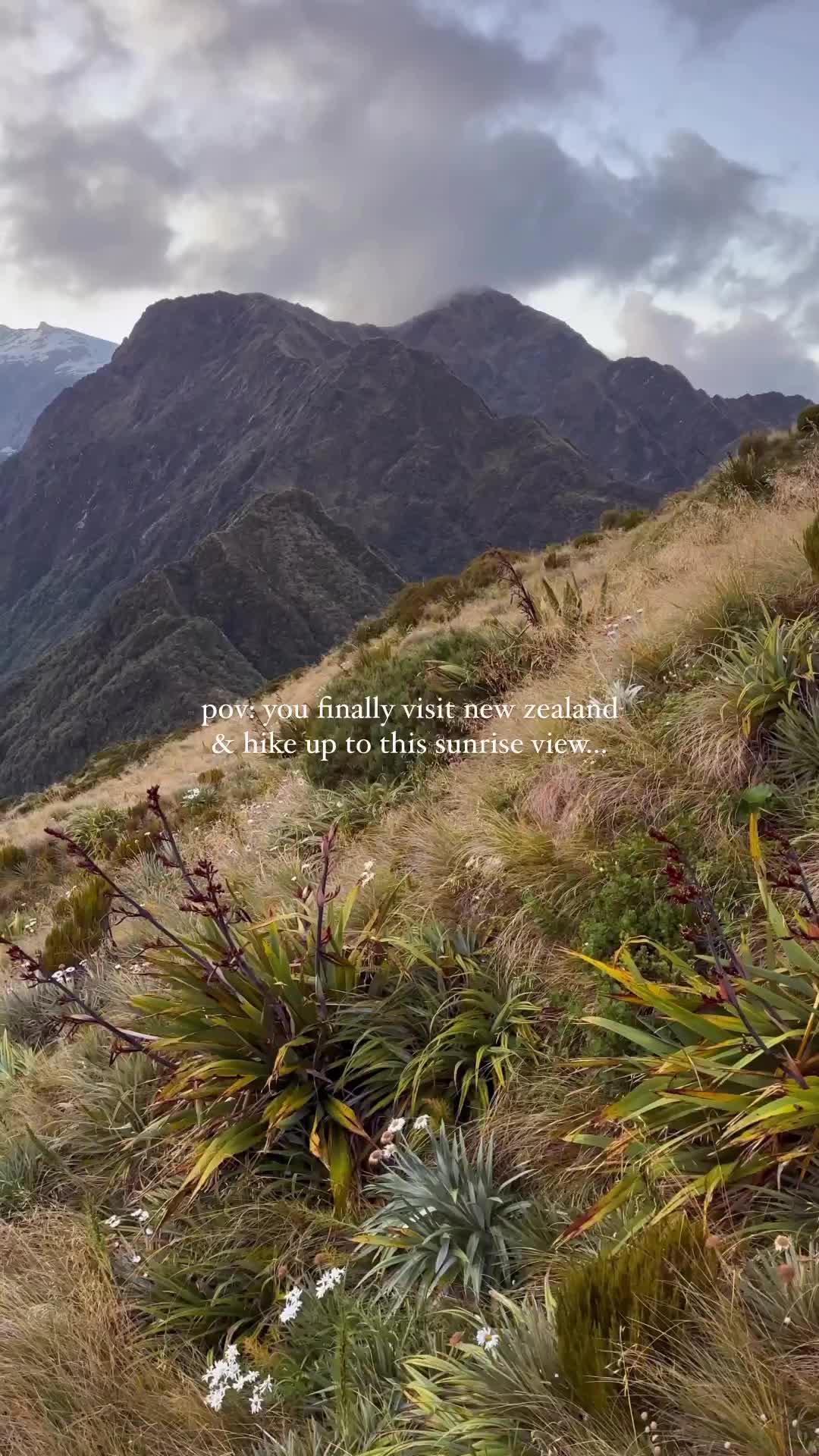 Best Ways to Experience Franz Joseph Glacier, NZ