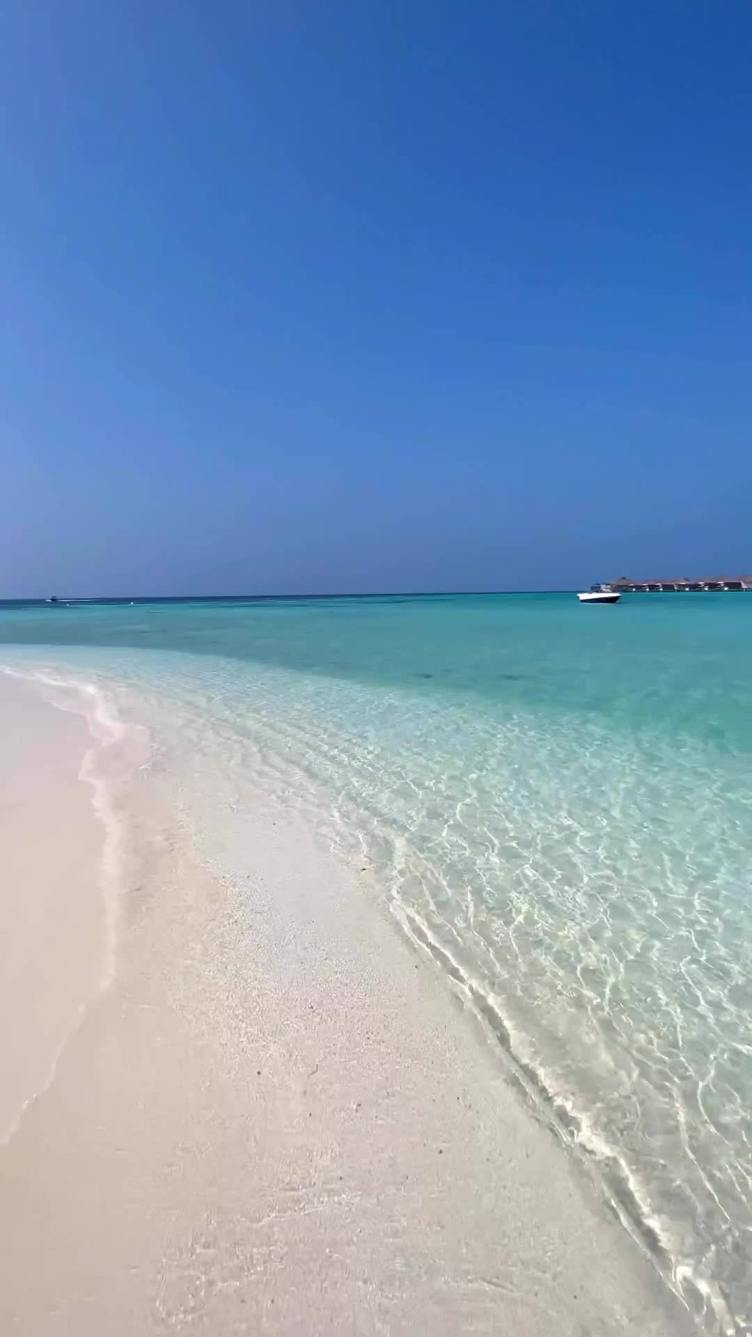 Discover Paradise at W Maldives: Luxury & Nature