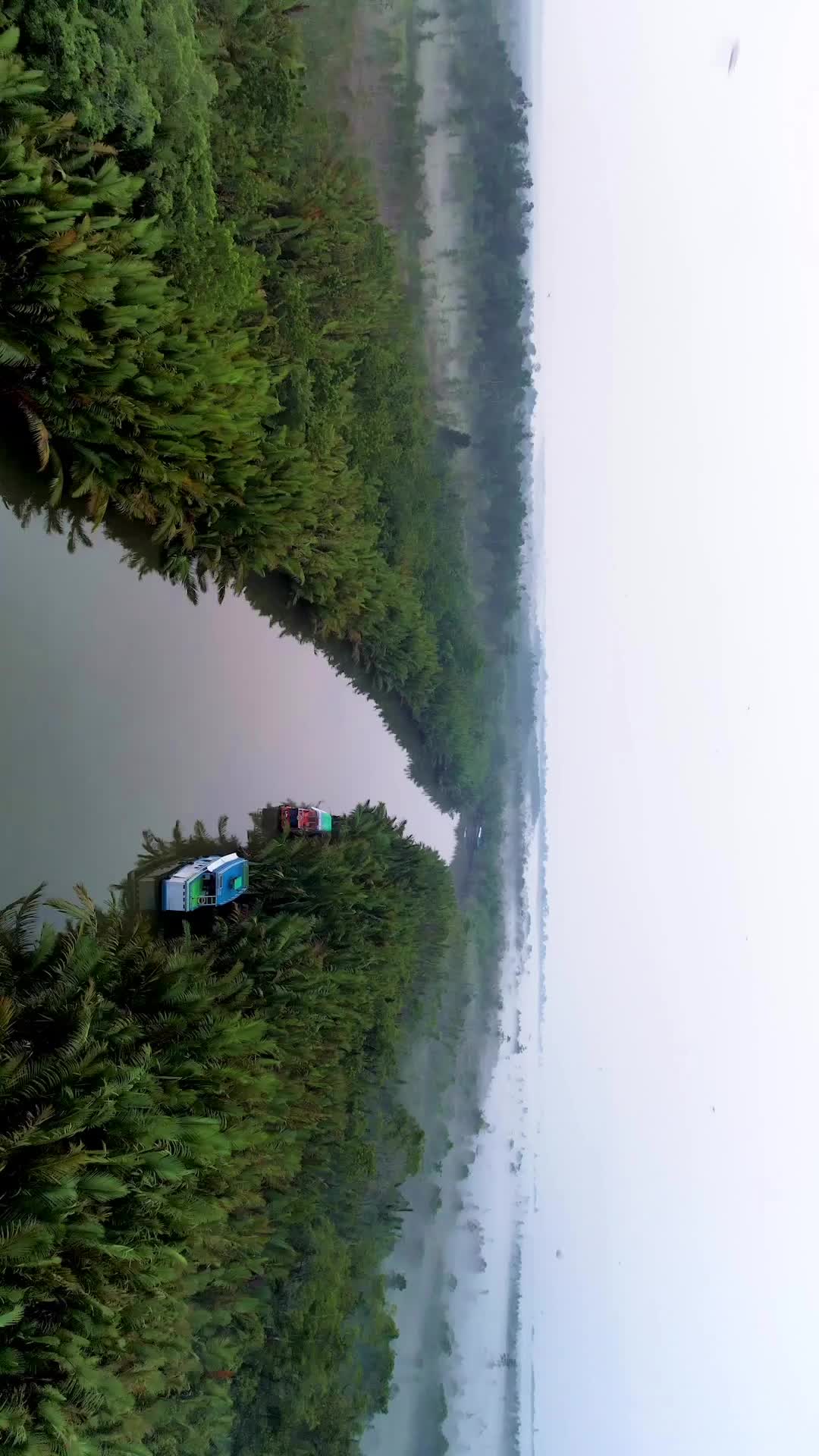 Thank you for inviting us to explore your world and your home 🦧 I’ll be forever grateful with these beings. 
•
•
•
#borneo #indonesia #orangutans #wildlife #travel #passionpassport #travelphotography #filmmaker #reel #reelitfeelit #naturephotography #natgeotravel #natgeowild #natgeoyourshot #naturecaptures #traveltheworld #traveler #explorer