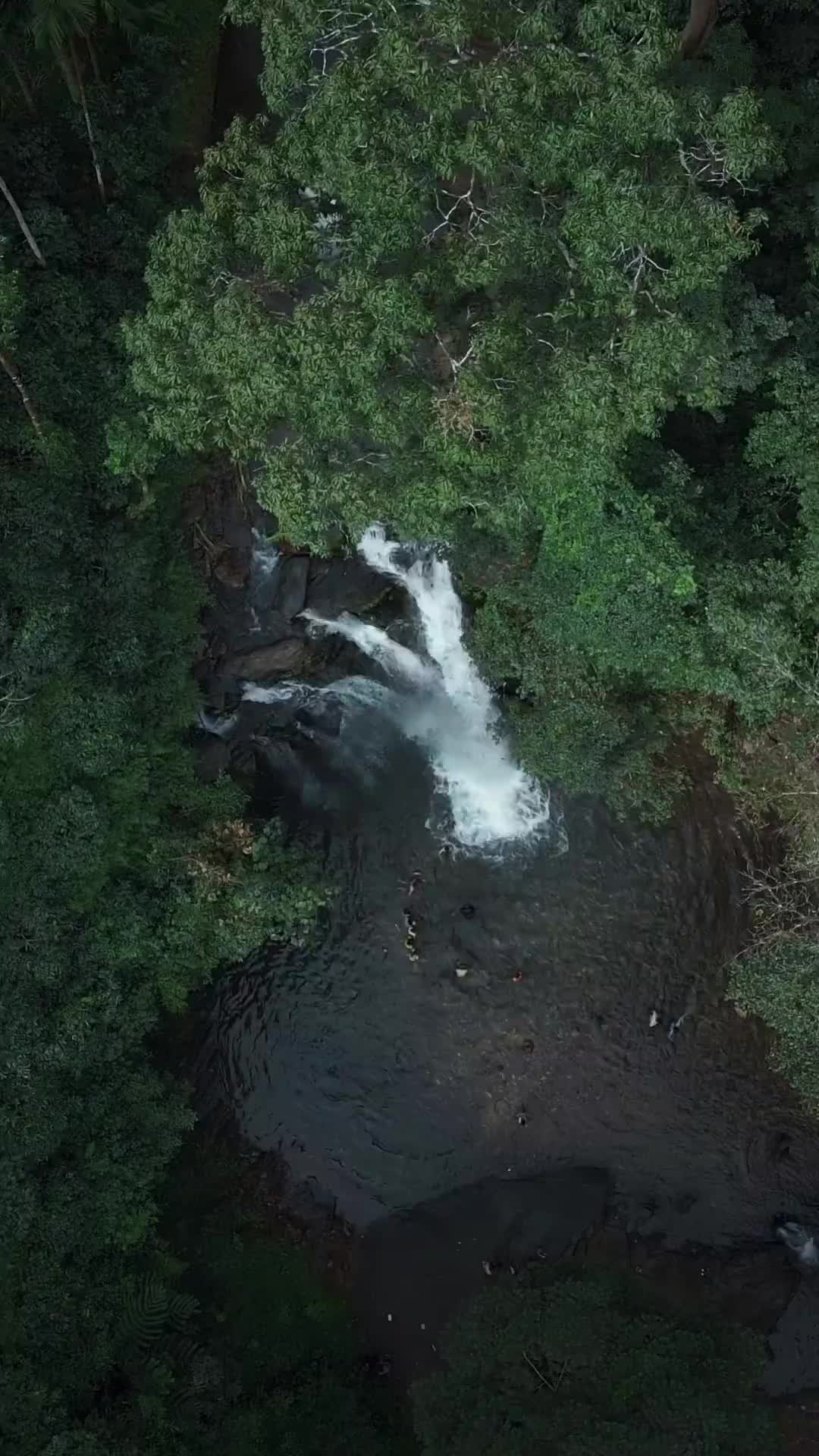 Discover Soormane Falls: A Hidden Gem in Kalasa