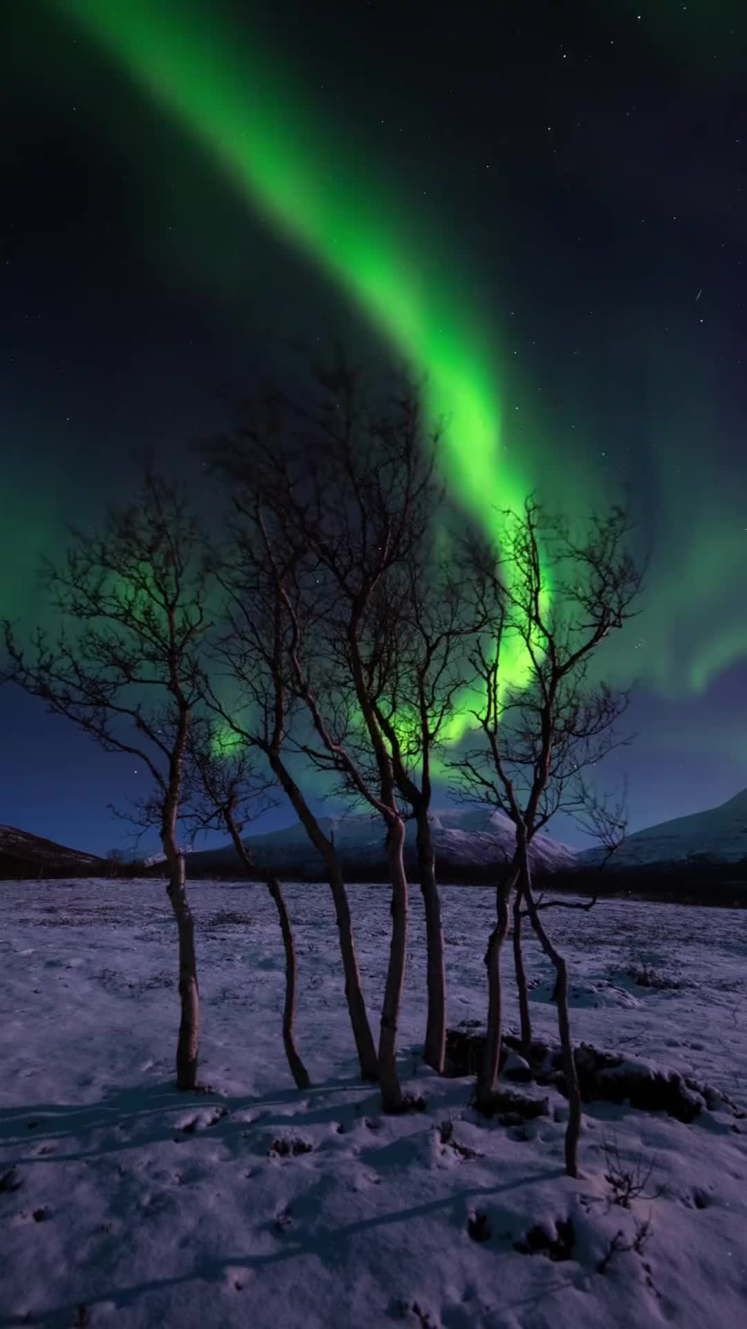 Windy Arctic Evening with Aurora in Nordreisa, Norway