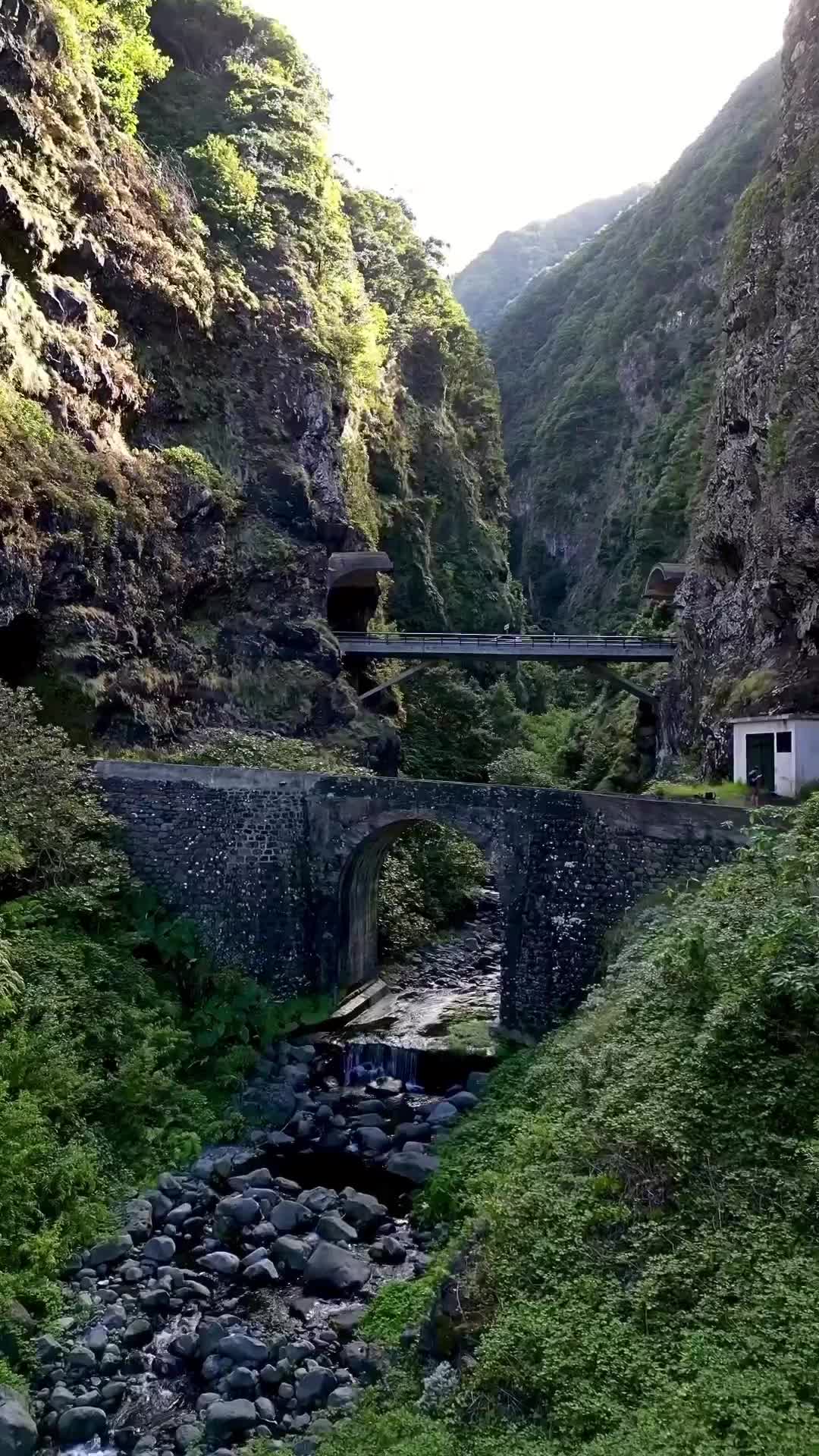 📍Ribeira do Inferno, Madeira, Portugal 🇵🇹 

Another place to my collection of ancient bridges and breathtaking landscapes in Madeira. 🌉🌄 

I proudly introduce this place to Madeira’s list of #hiddengems

By the way, here’s an interesting fact: Nearly every tourist glimpses this spot while zooming through the tunnel in their cars, but they only have a split second to grasp its beauty. 🚗💨 

Not everyone, however, takes a moment to stop and truly appreciate this place up close. 

What a missed opportunity! 🛑👀 Agree?

#HiddenGem #Madeira #ExploreMore #ScenicSplendor #TravelDiscoveries #MadeiraMagic #HiddenParadise #BridgeEnchantment #ExploreMadeira #NatureWonders #WorthTheStop #UnveilingBeauty #TravelInspiration #OldBridge #Canyon #MadeiraLovers #GreenCanyon #MadeiraIsland #MadeiraIslands🌟📸