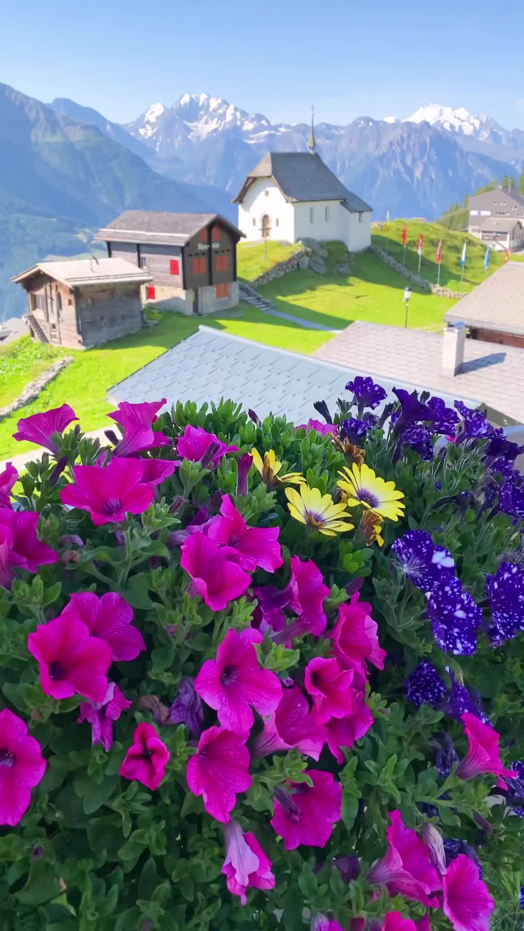 Spring Fever on Bettmeralp: Explore Valais, Switzerland