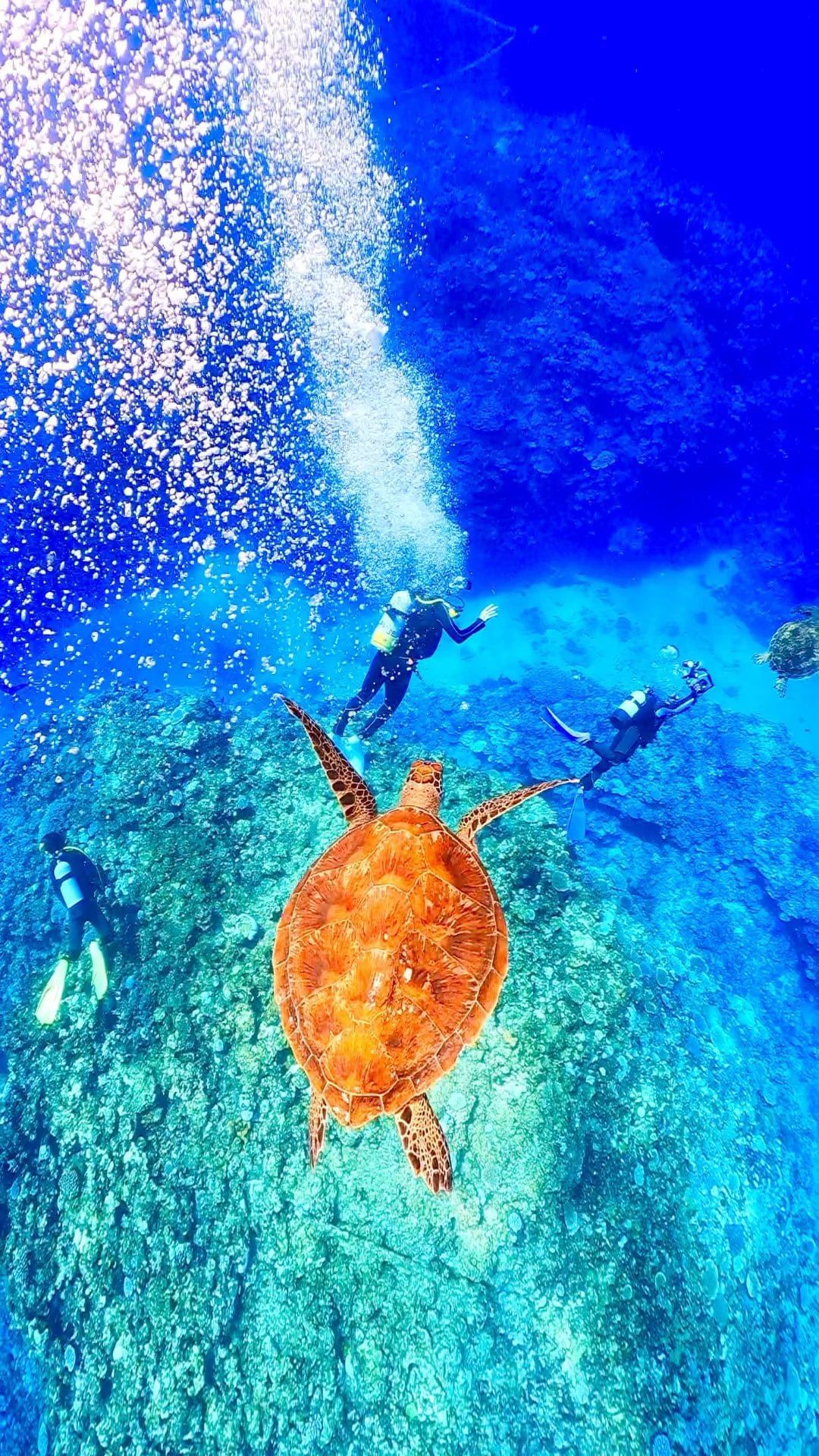 Tarama island, Japan