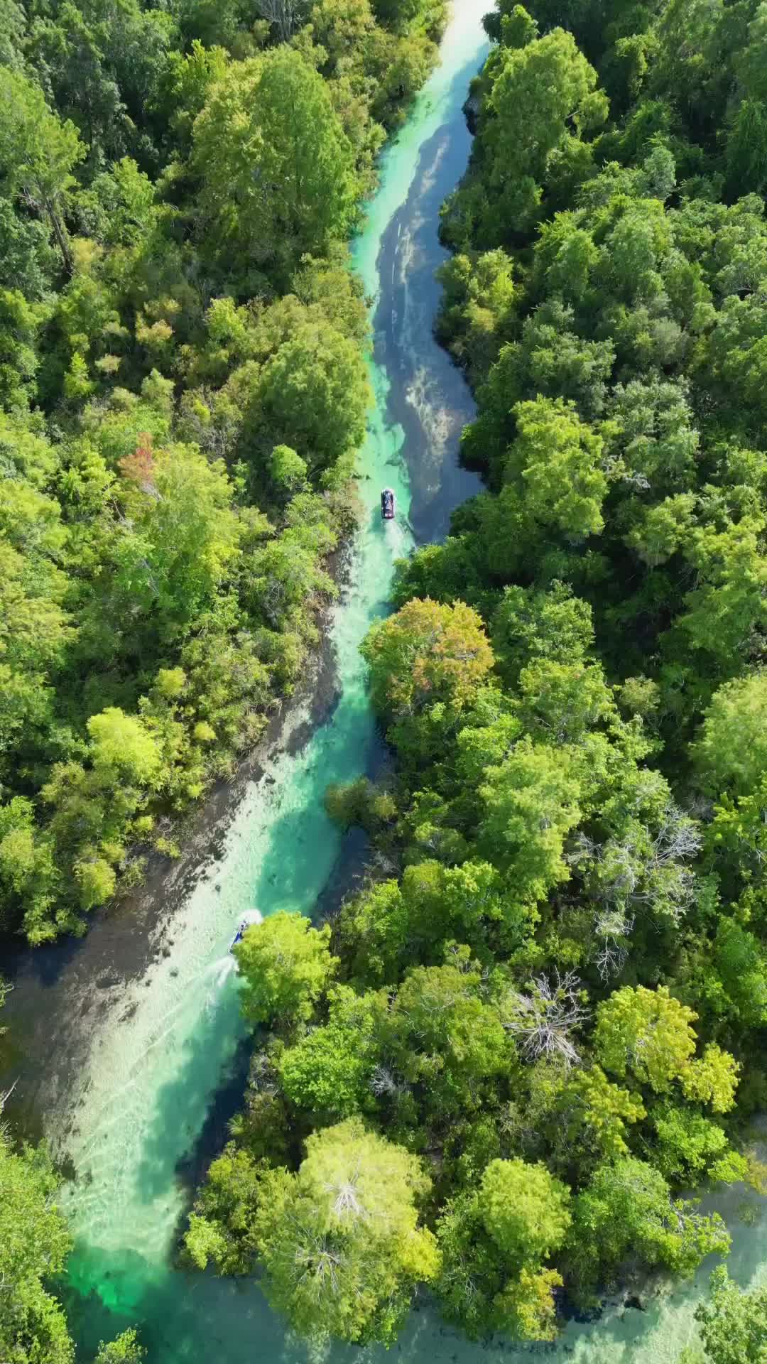 Cruising Through Paradise on Weeki Wachee River