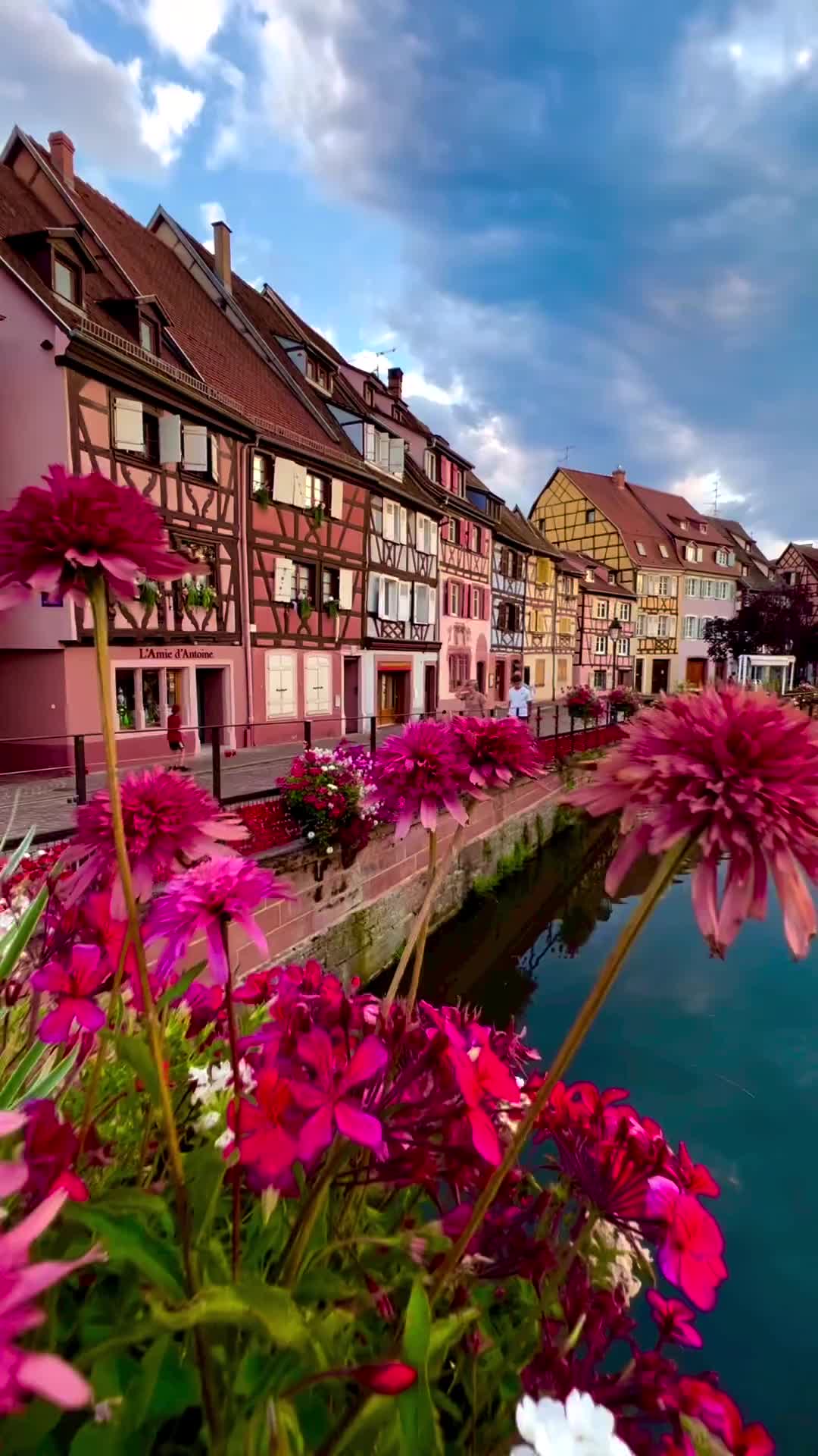 Sparkles of Disney in Colmar: A Fairytale Village