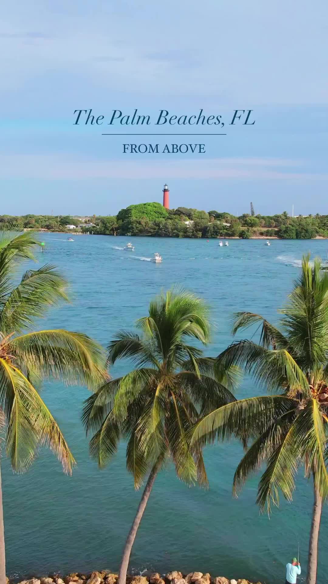 Palm Beaches: Your Tropical Paradise Awaits 🌴