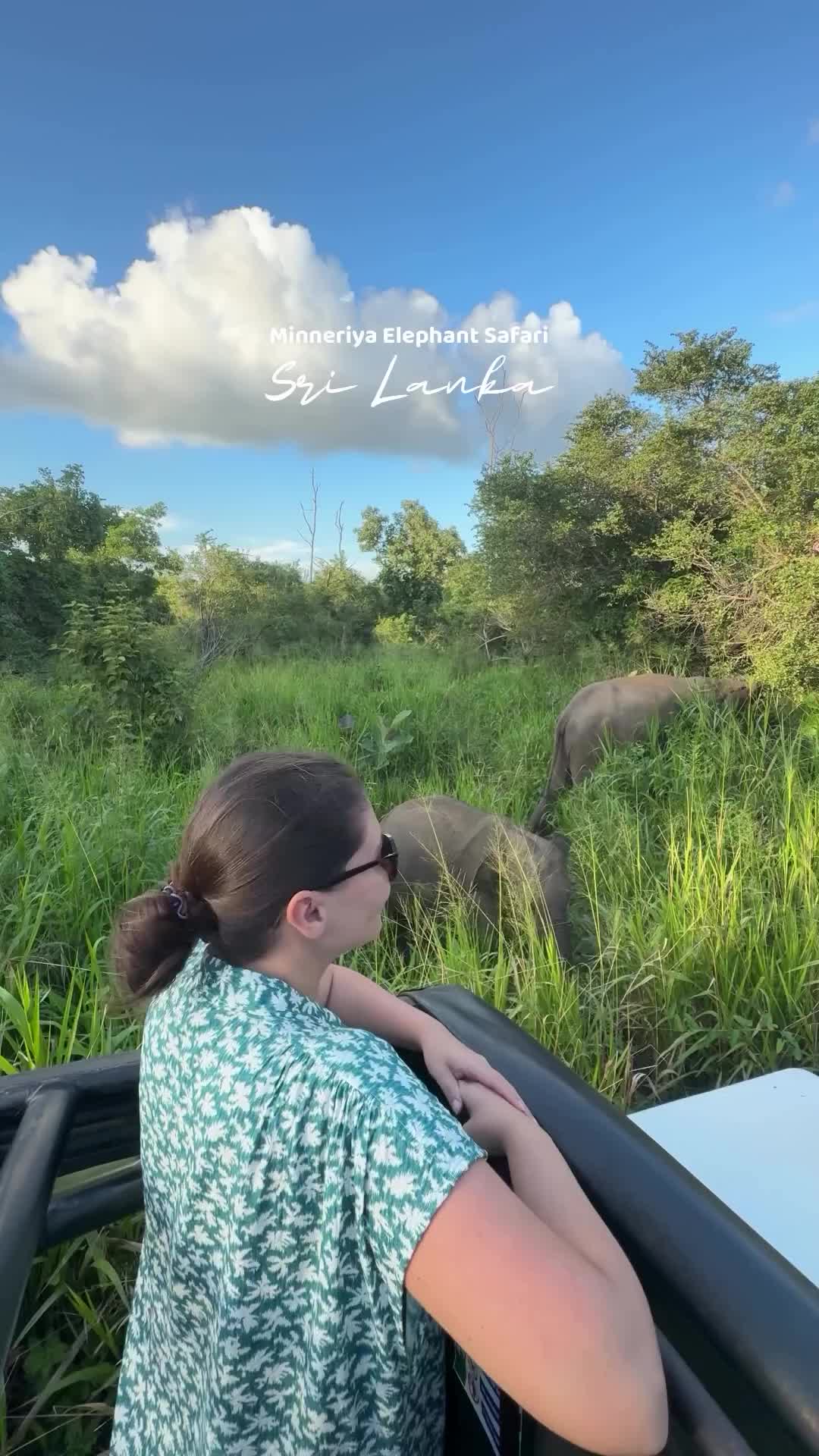 Elephant Safari Adventure in Sri Lanka