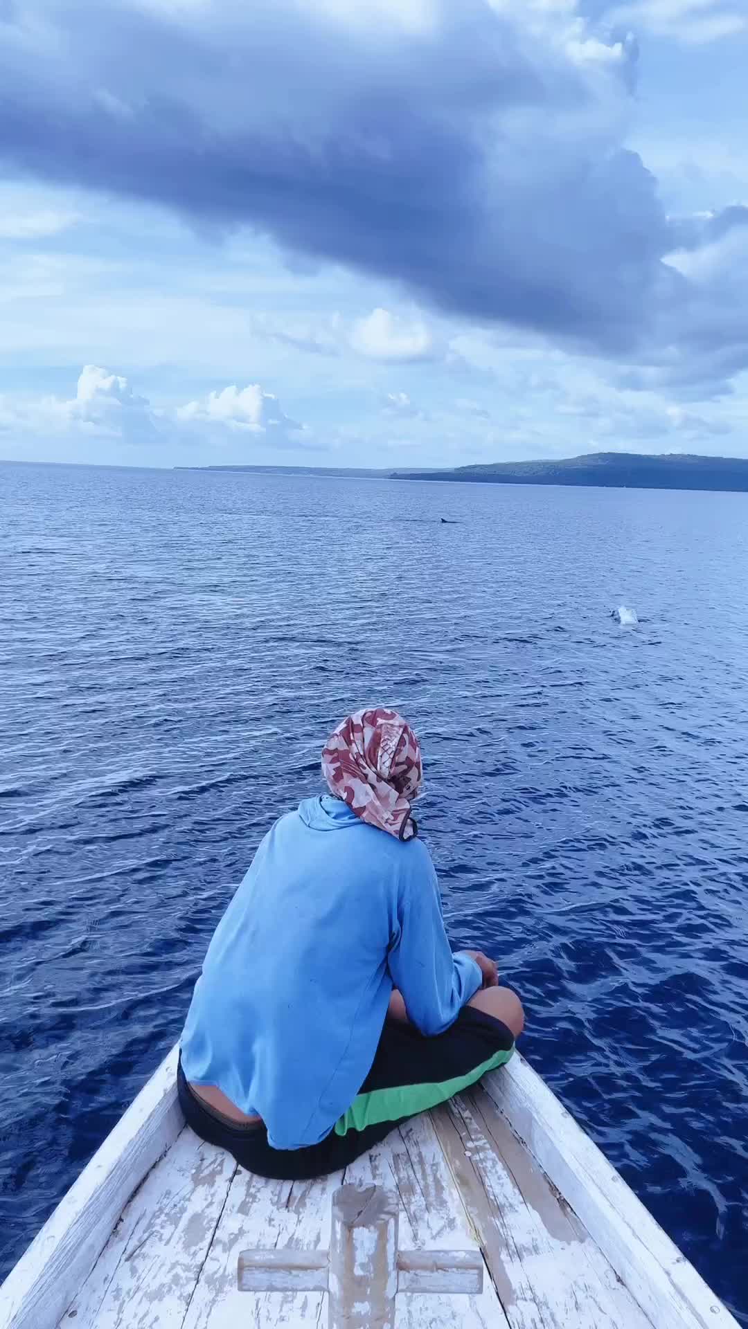 Magical Dolphin Encounter on Moyo Island Crossing