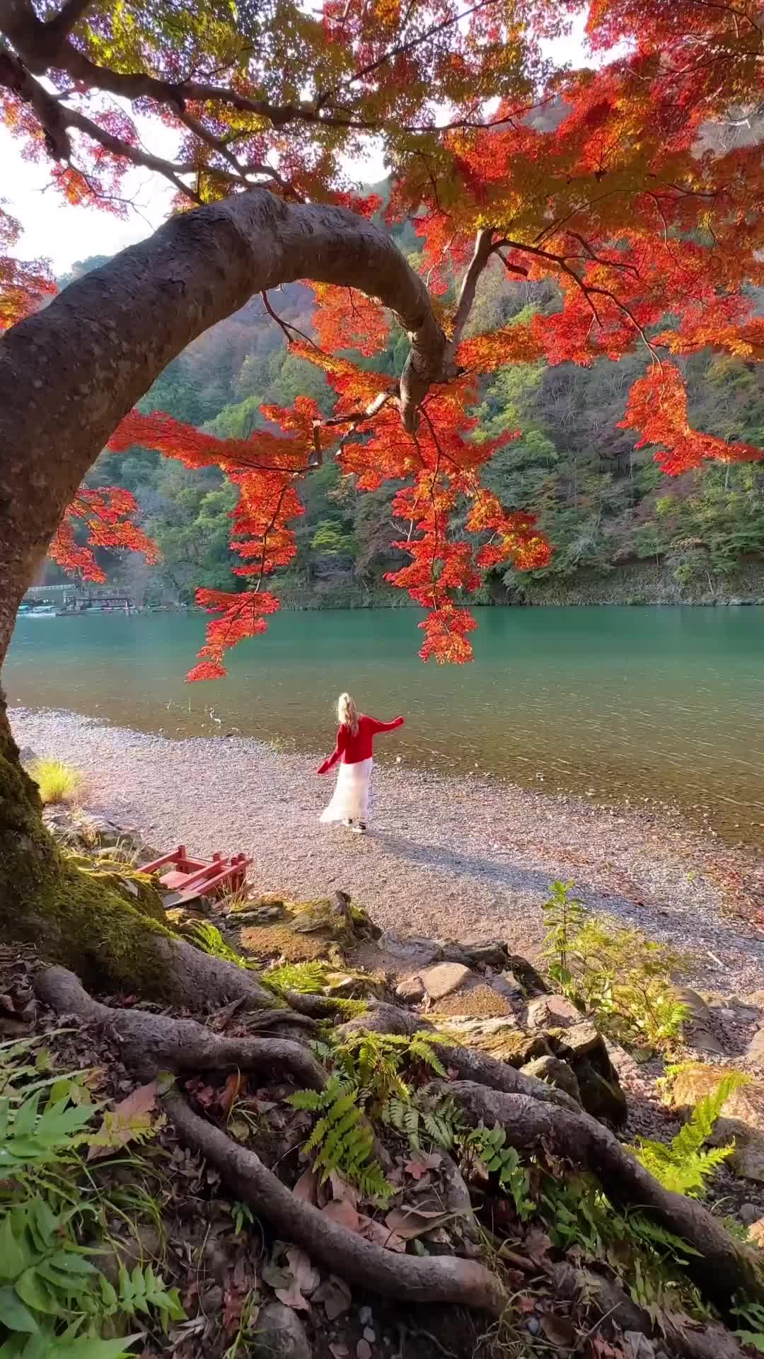 Autumn in Japan: Must-Visit Locations for Your Trip