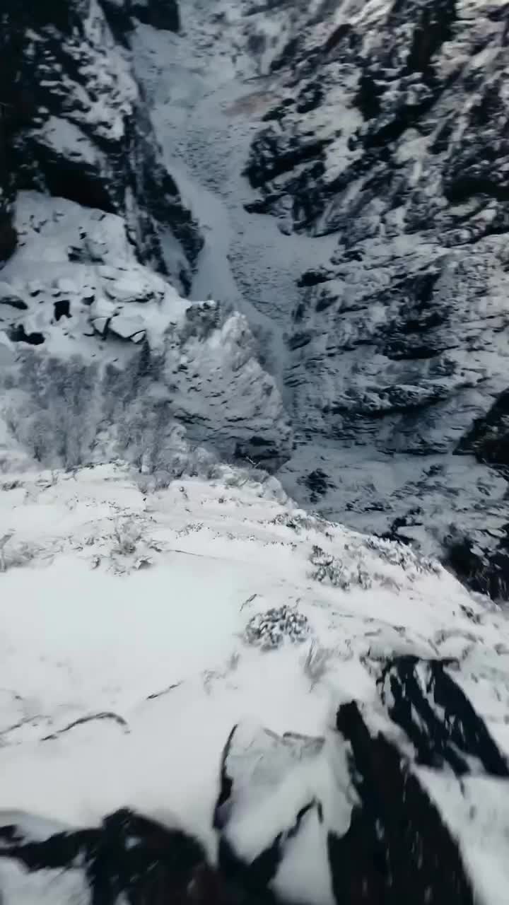 Hawk Dive into Vøringsfossen Waterfall Norway