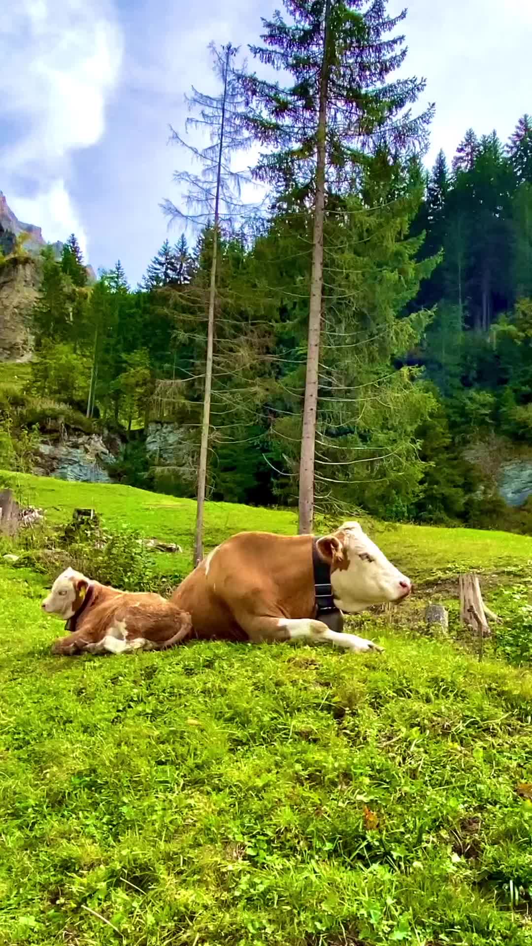 Summer Hiking in Griesalp, Switzerland