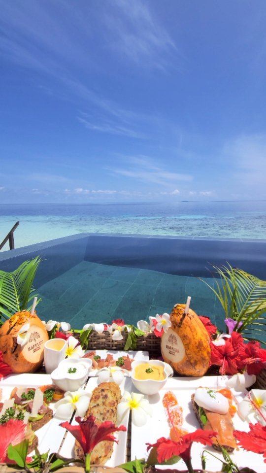 Dream breakfast in paradise 🤩🏝️

📍@rafflesmaldives

-

Follow us ❤️ @toptravelplaces_ for more 👍

-

📸 Video taken by @toptravelplaces_

-

#maldives #maldivesresorts #rafflesmaldives #maldivas #malediven #maldivesislands #maldivesinsider #visitmaldives #bluelagoon #maldiveslovers #Мальдивы #путешествия #maldivesparadise #maldivesphotography #amazingdestinations #instatravel #paradise #beautifulmaldives #videooftheday #borabora #beachlovers  #beach