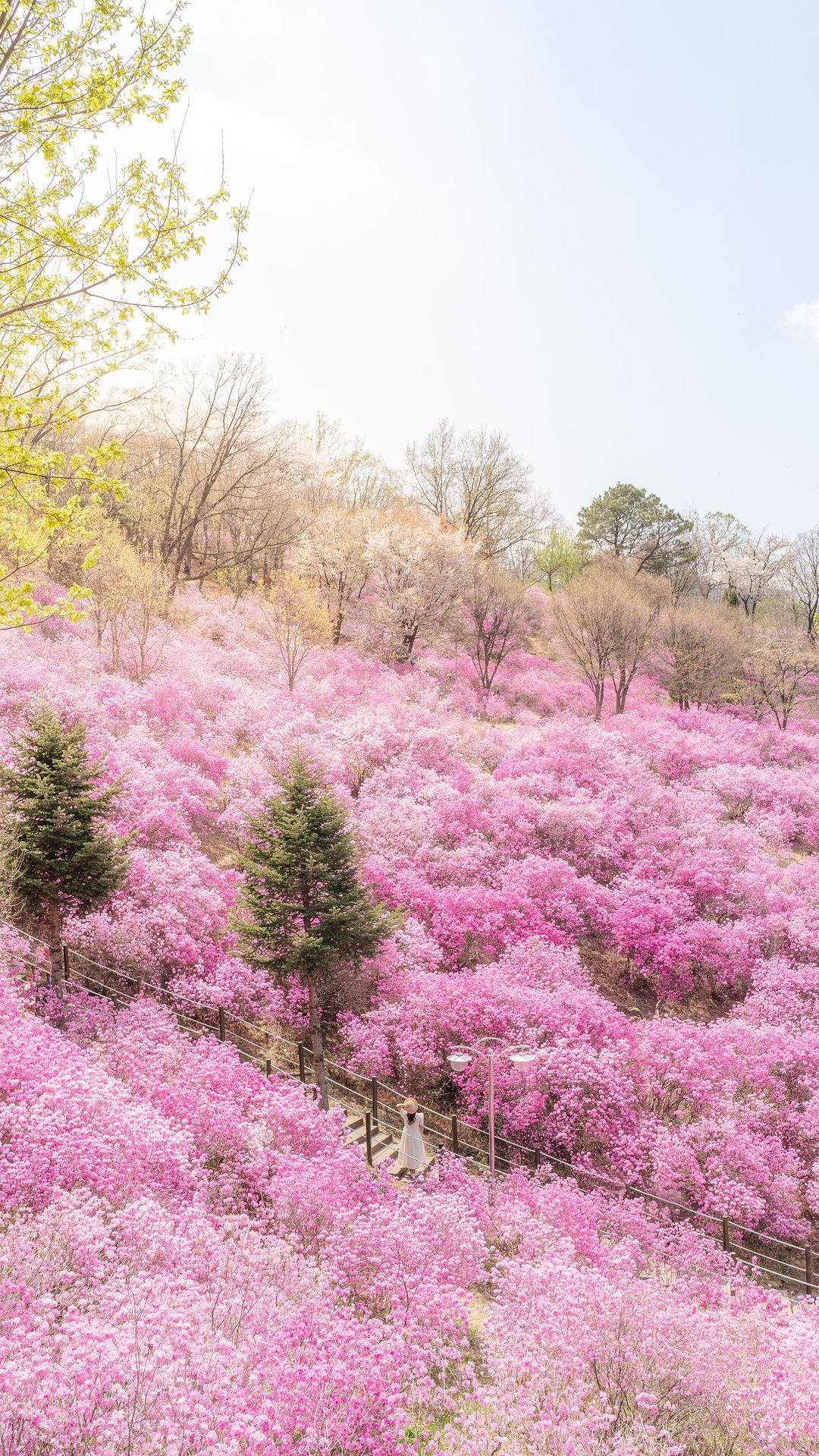 Bucheon-si, Corea del Sur