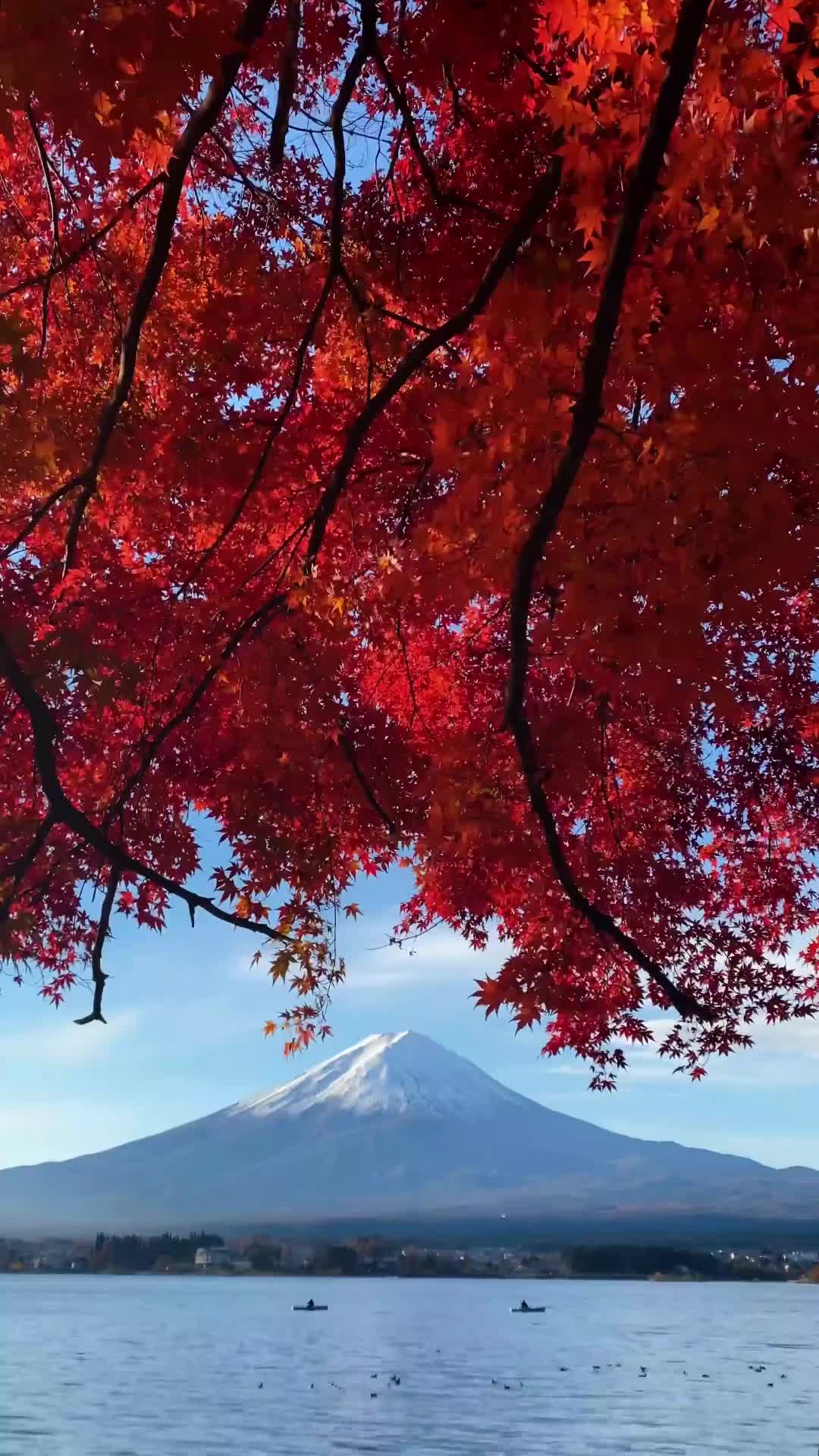 Autumn Beauty of Mt. Fuji - Explore More!