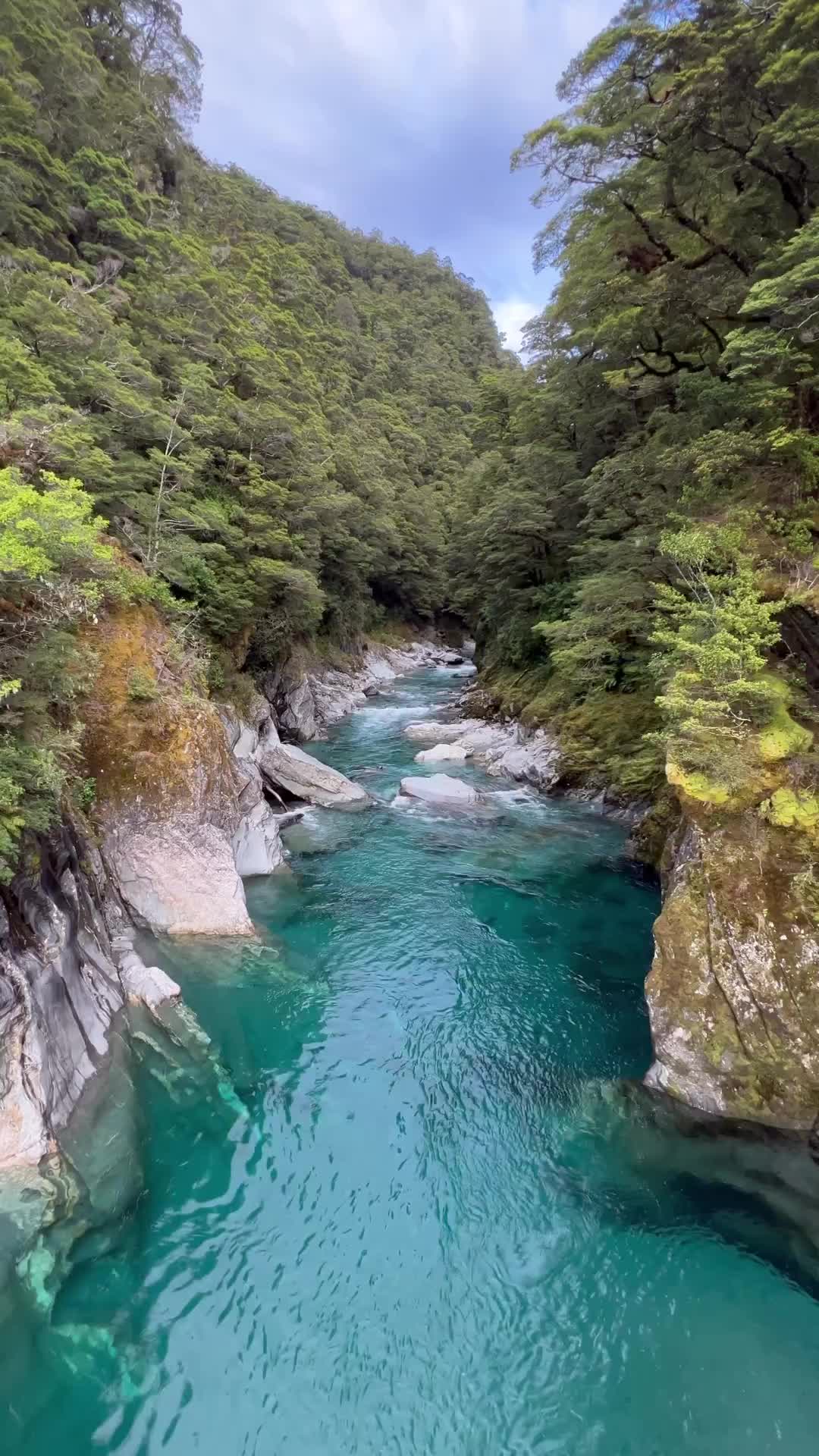 Embracing Life's Ebbs and Flows at Blue Pools, New Zealand