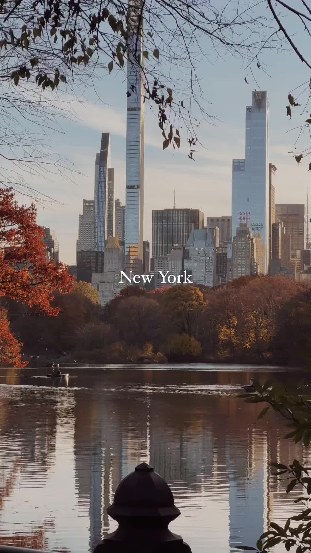 Late November in Central Park: Autumn’s Final Brushstrokes