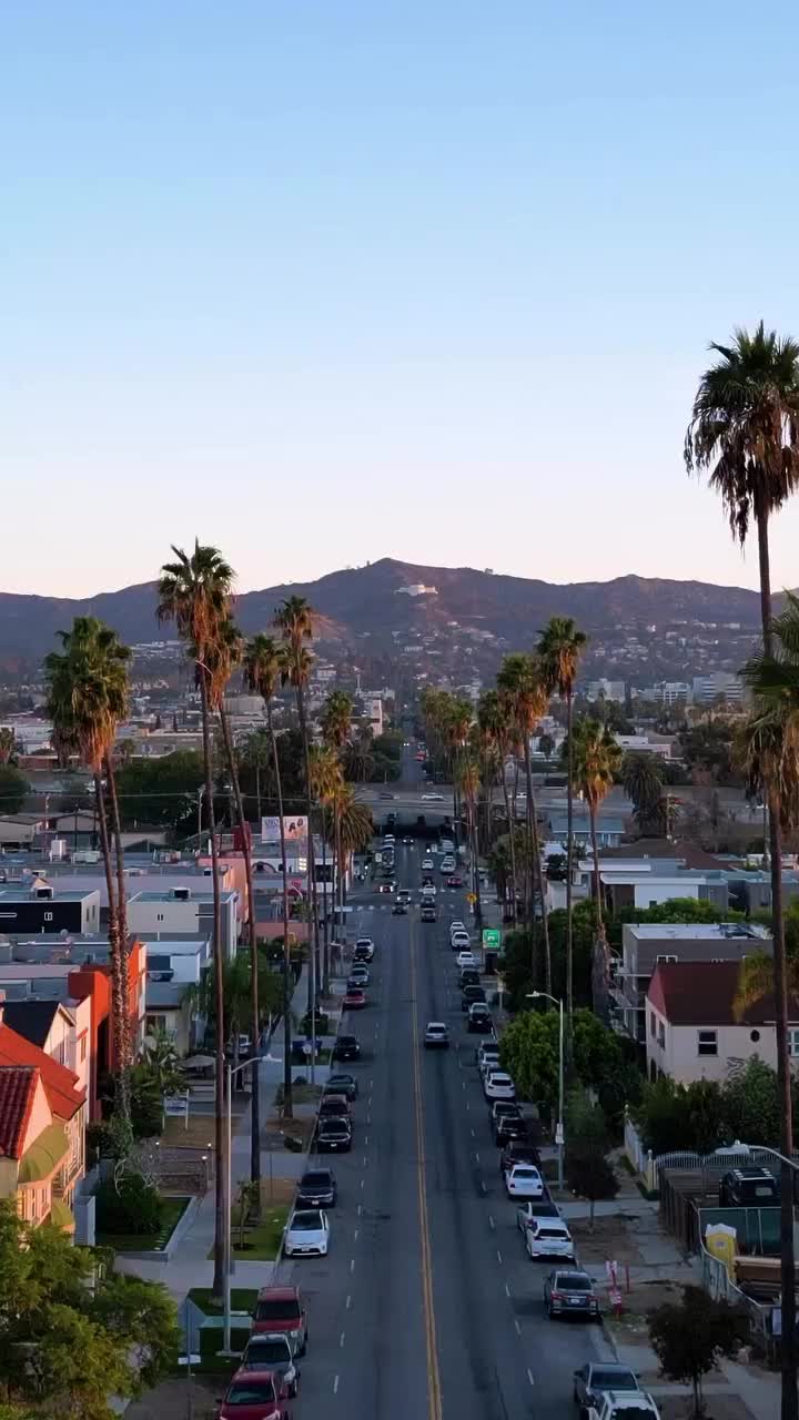 California...knows how to party. 🌴🌴
.
.
#losangeles #californiadreaming #reelsinstagram #beautifuldestinations #californialove #travelgram #bbctravel #tlpicks #visitcalifornia #discoverla #dronevideo #djiglobal #lonelyplanet #earthpix #hypebeast