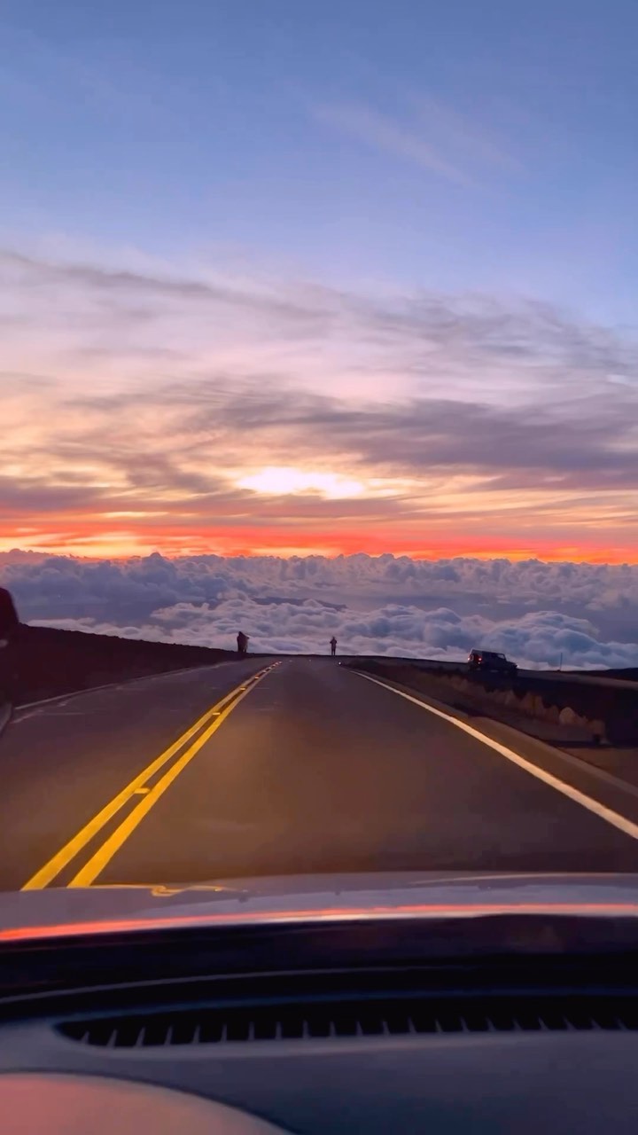 Aventure de 7 jours à Maui : Plongée, Observation des Baleines et Gastronomie