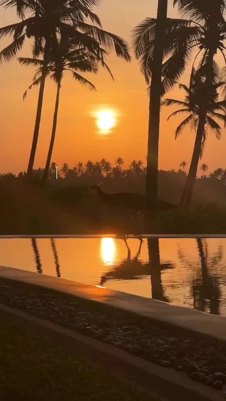 A day in the life at @capeweligama always begins with the tastiest of floating breakfasts, followed with lounging by the stunning main infinity pool watching the surfers in action riding the waves below! 🌊 And if you love Sri Lankan food then the main restaurant here is the most idyllic location to enjoy rice and curry, and a delicious chicken kottu 😍 if you know, you know!

Would you stay here?

#ItsMeLouis

#srilanka #visitsrilanka #capeweligama #weligama #srilanka🇱🇰 #srilankan #srilankanfood #srilankaphotography #srilankaphotographer #cntraveler #travelreels #travelreel