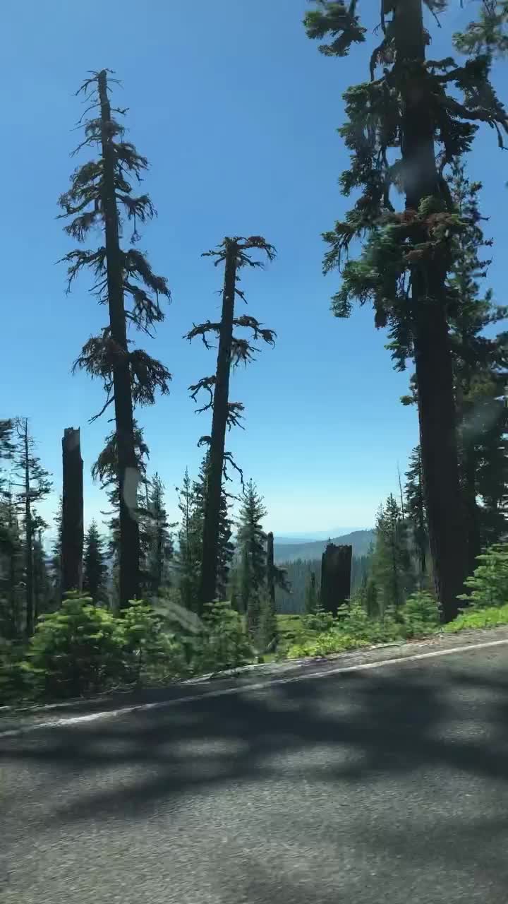 Kings Creek Falls Hike: Discover Lassen Volcanic NP