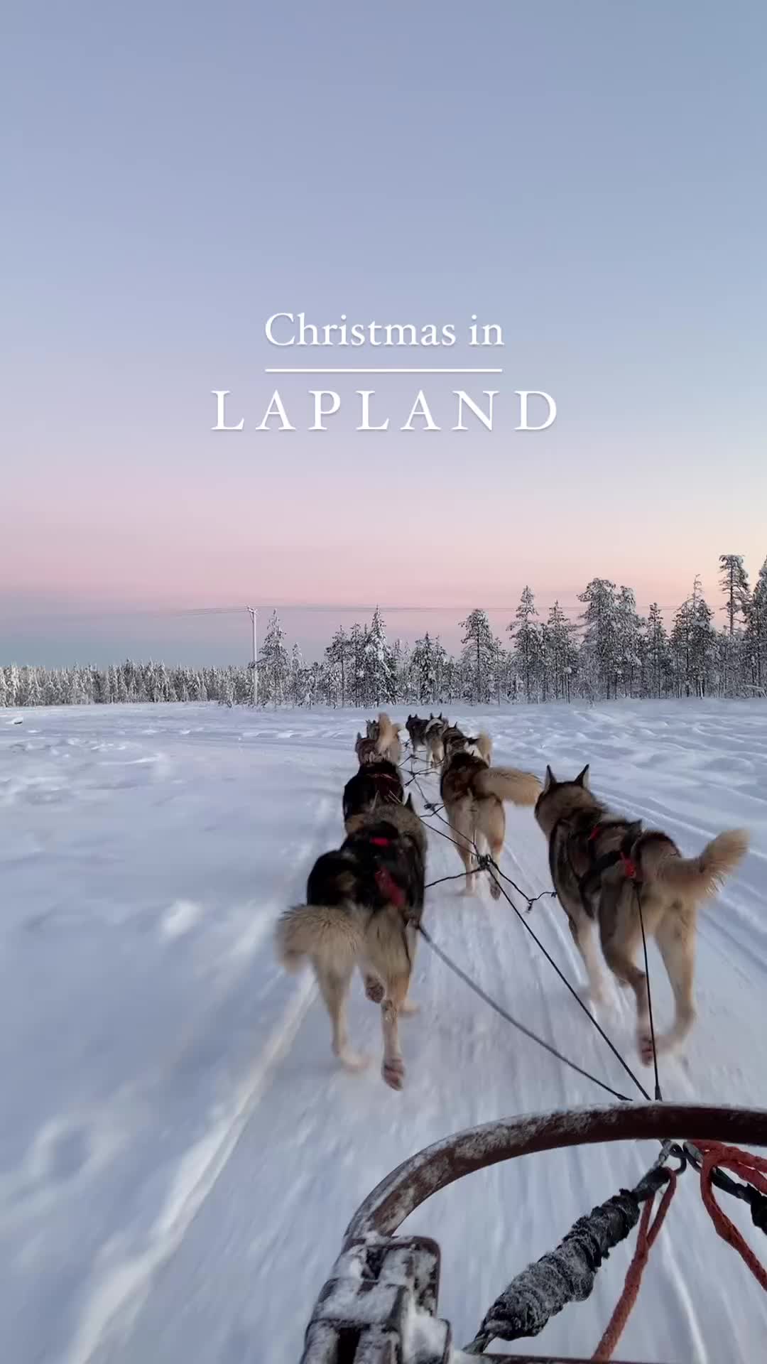 Enchanting Christmas in Lapland: Top Activities to Enjoy