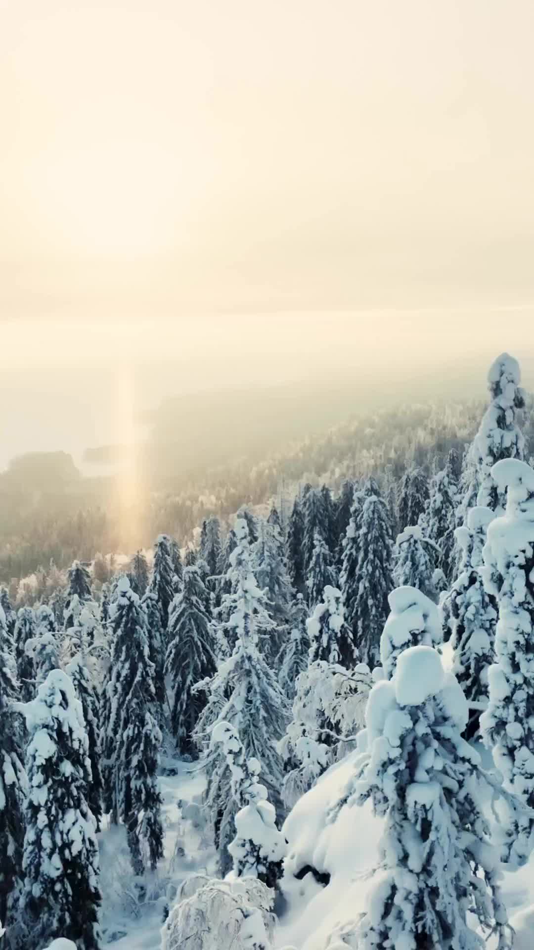 Winter Wonderland at Koli National Park, Finland